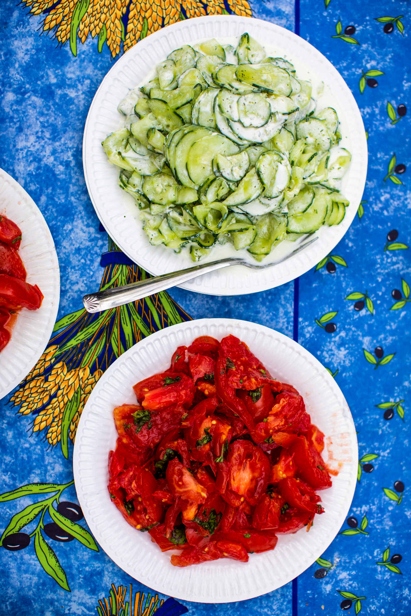 A plate of sliced cucumbers and a plate of diced tomatoes sit on a vibrant blue background adorned with tropical foliage.