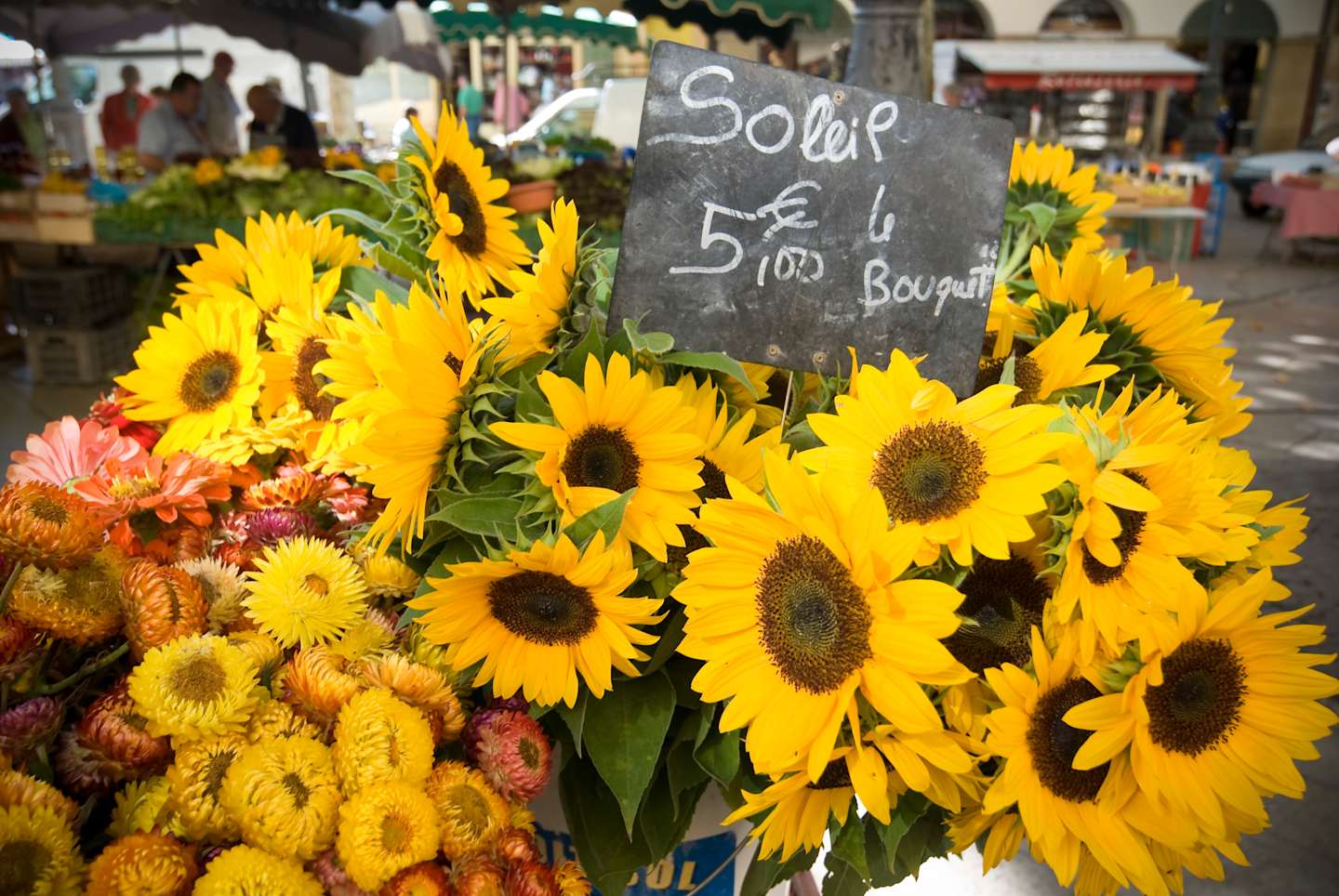 "Saturday flower market at l'Hotel de Ville. Aix-en-Provence, France. Sunflowers and mums."