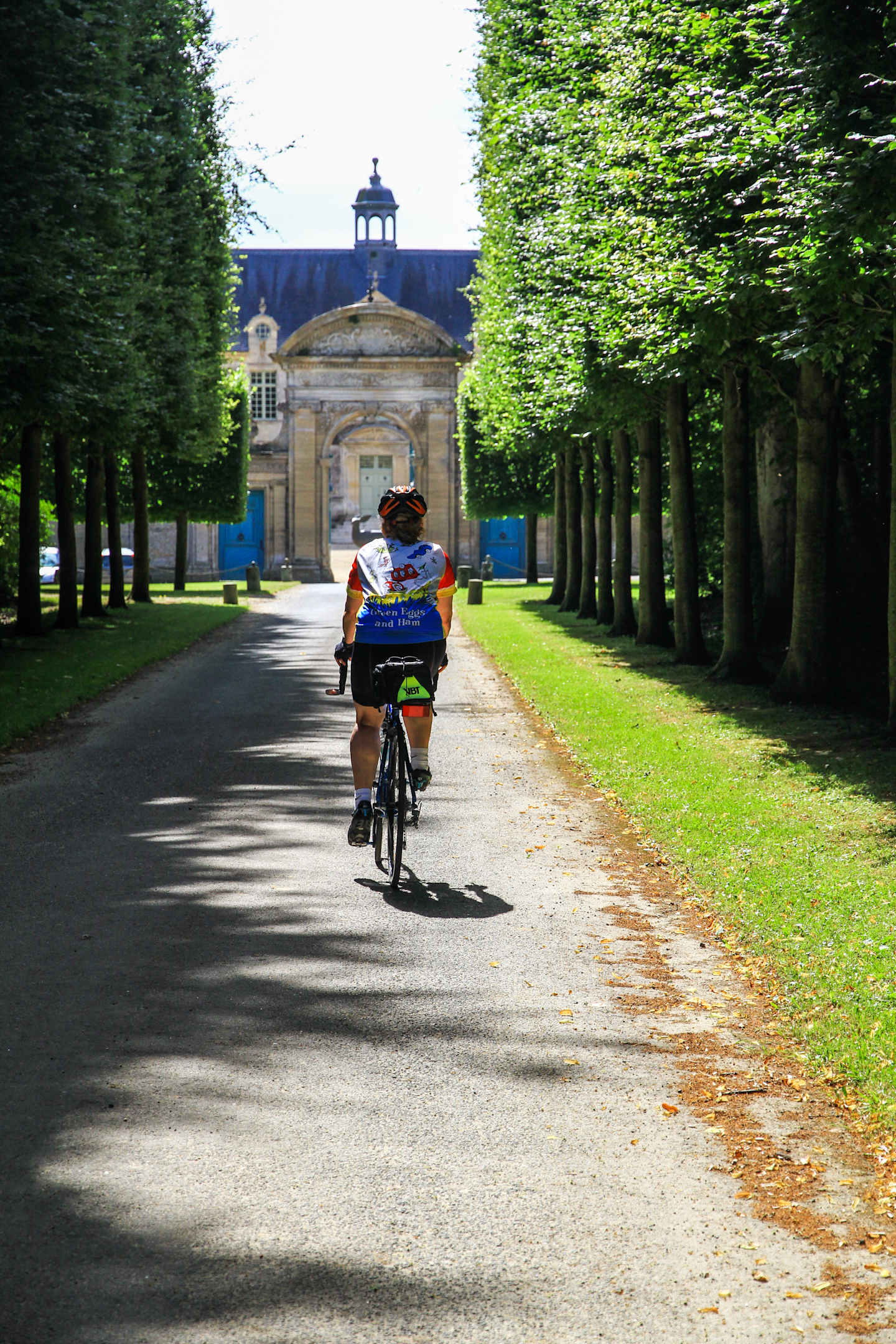 A cyclist rides down a tree-lined path leading to a grand, ornate building in the distance.