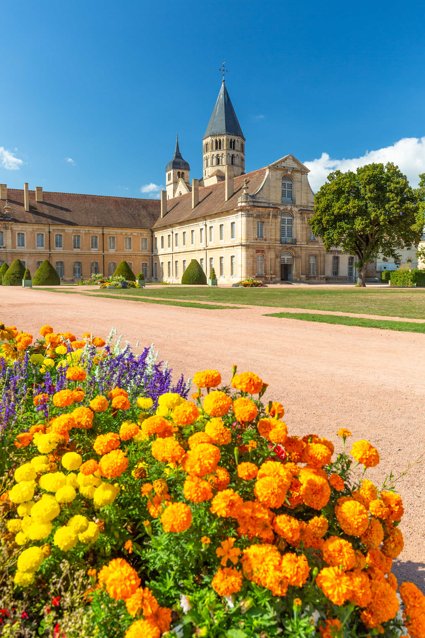 Cluny abbey in France, Burgundy