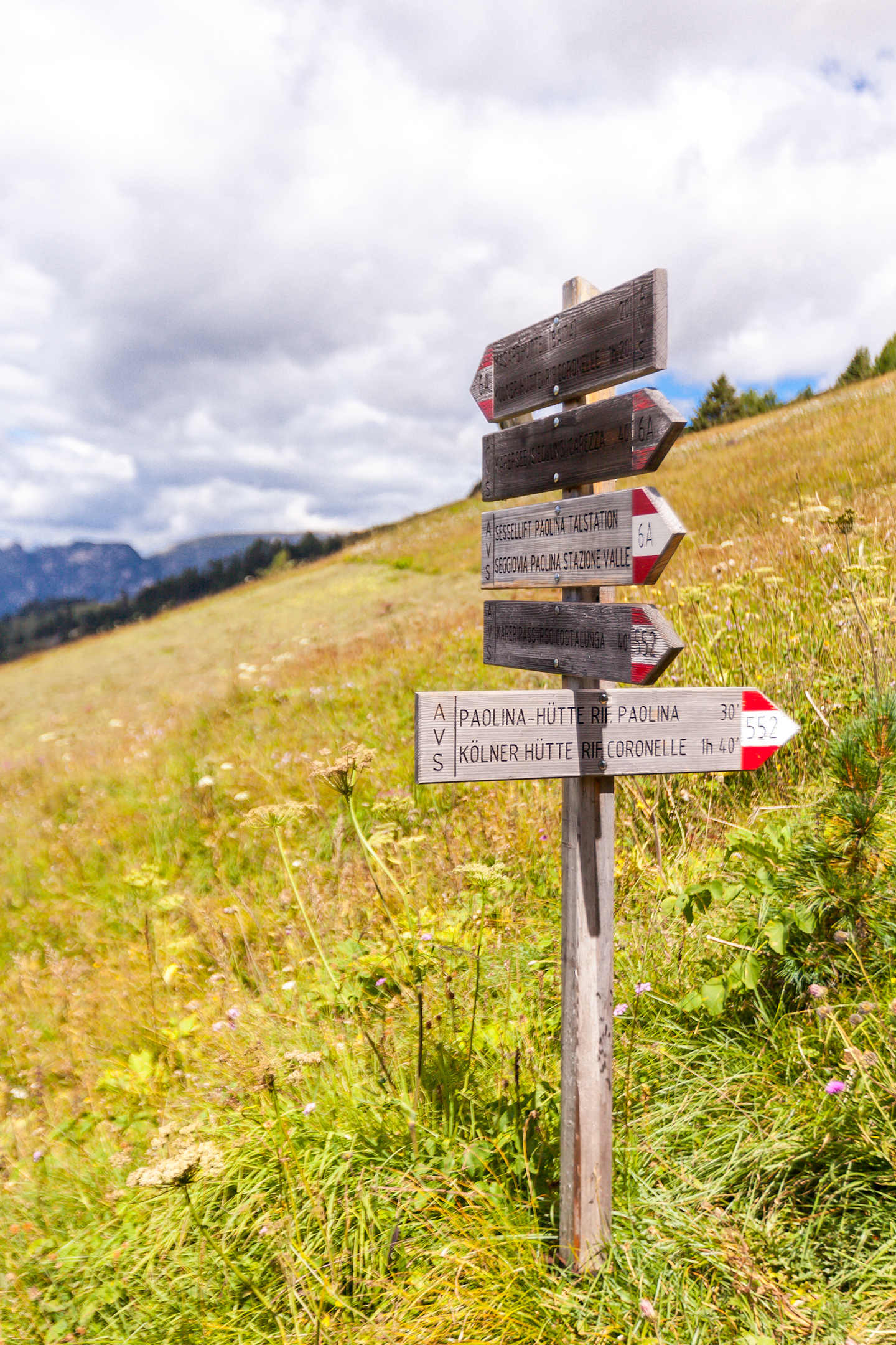The Costalunga pass is an alpine pass in the Dolomites, located on the border between the autonomous provinces of Trento and Bolzano, between the Catinaccio group and the Latemar group, which connects Val di Fassa and Val d'Ega. The Trentino side belongs to the municipality of San Giovanni di Fassa, while the South Tyrolean one is included in the municipality of Nova Levante.