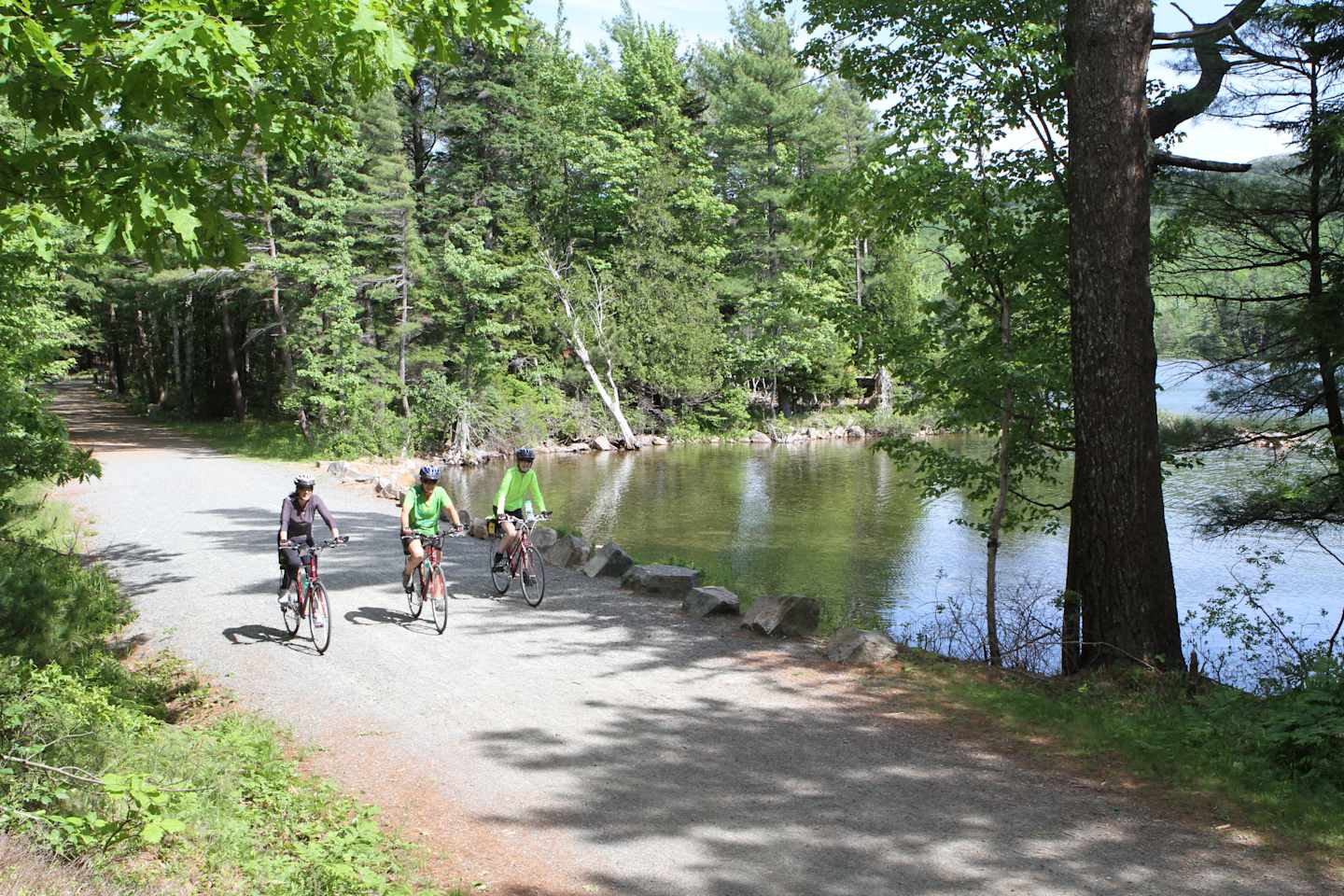 A scenic trail winds through a lush, forested area alongside a tranquil body of water, with several people riding bicycles in the foreground.