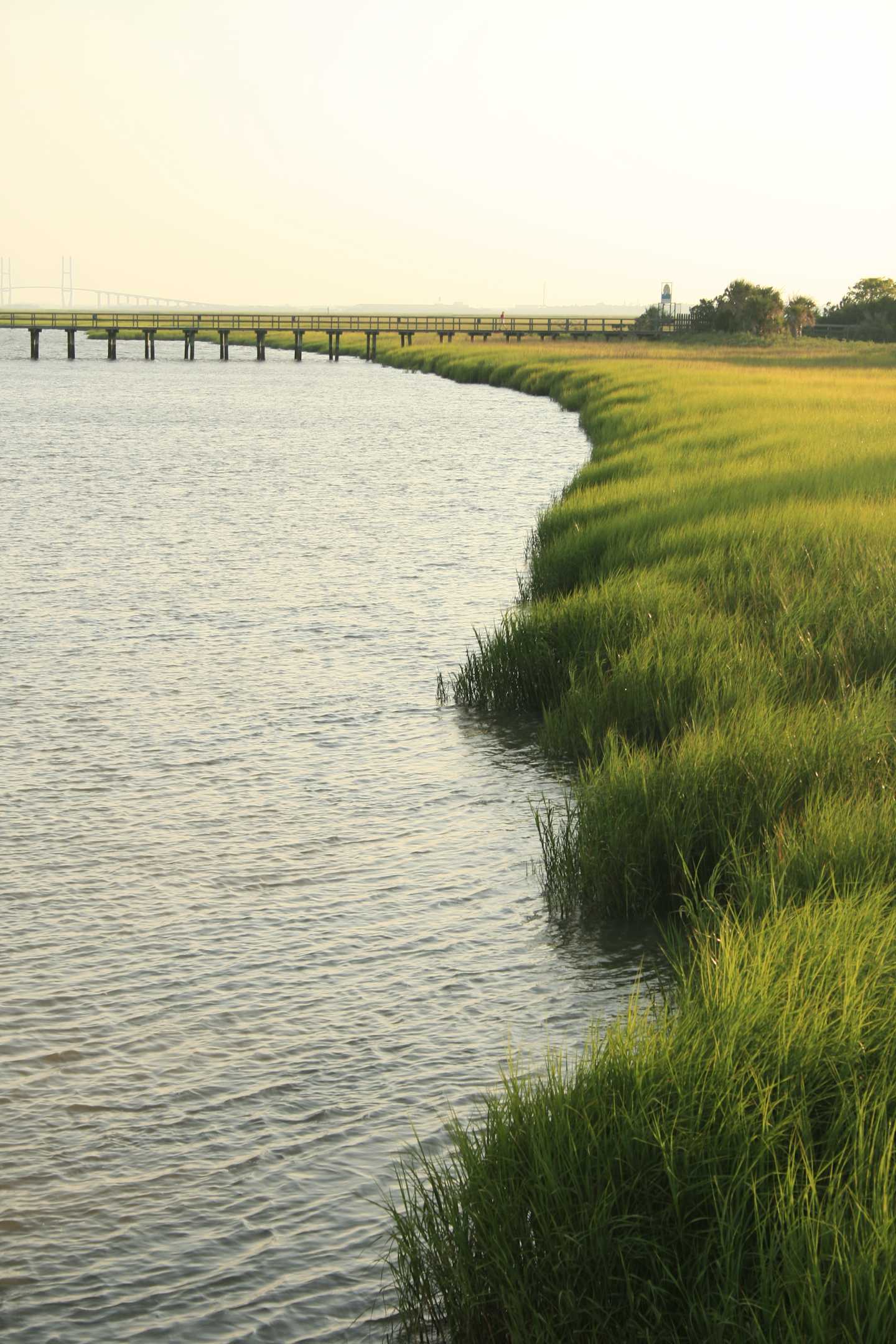 Southeast Georgia coastal river through the marsh.