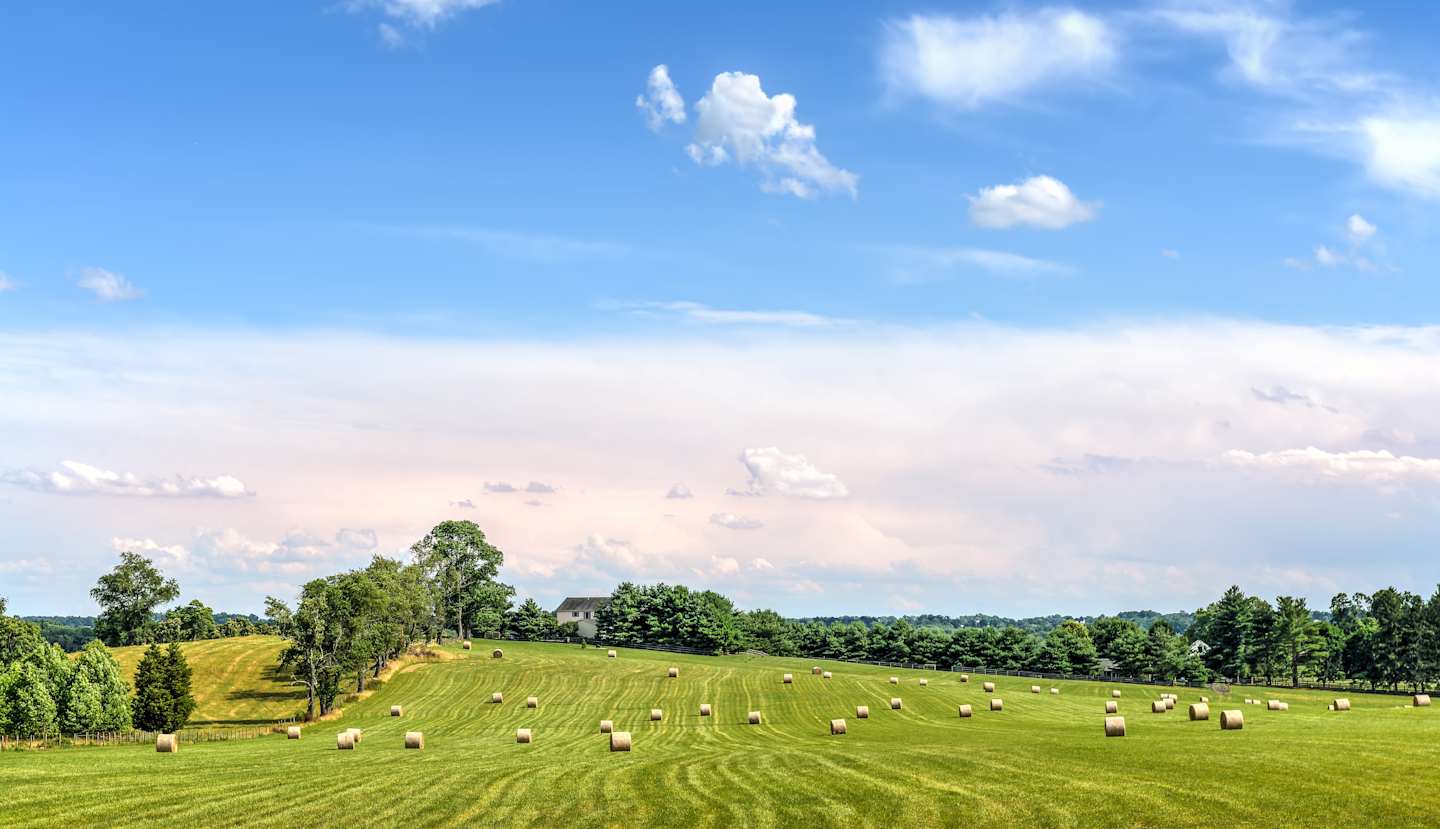 Hay bales scattered over the green rolling fields on a Maryland farm at harvest time