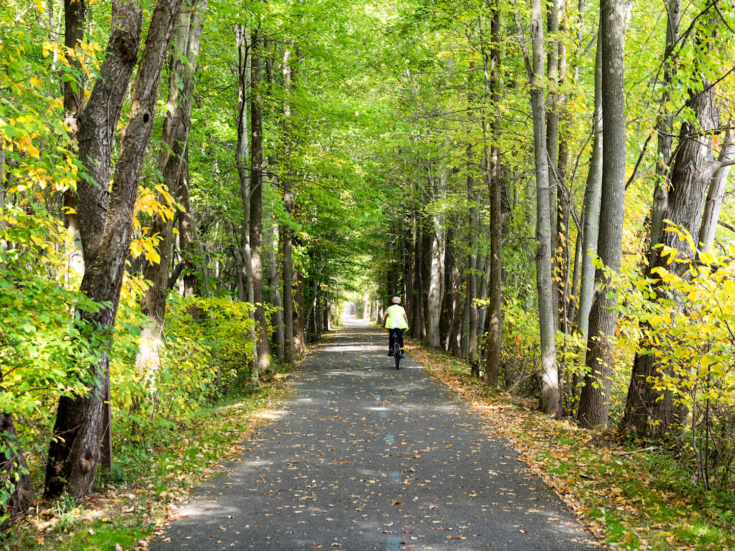A woman on a bike riding along a tree lined paved path with safety equipment and jacket. This trail is in the State of Maryland.