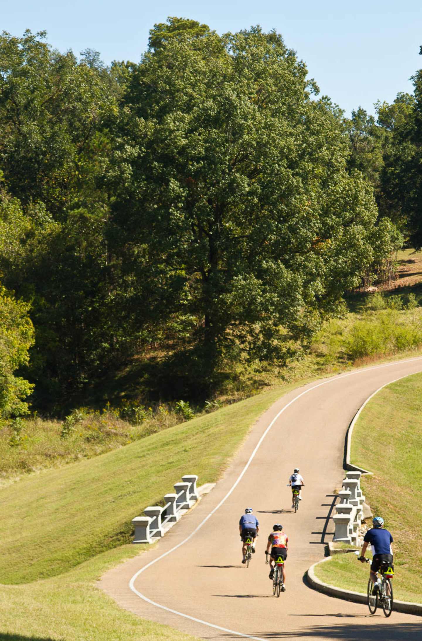 A winding paved path through a lush, green landscape with cyclists riding along it, surrounded by a dense forest of trees.
