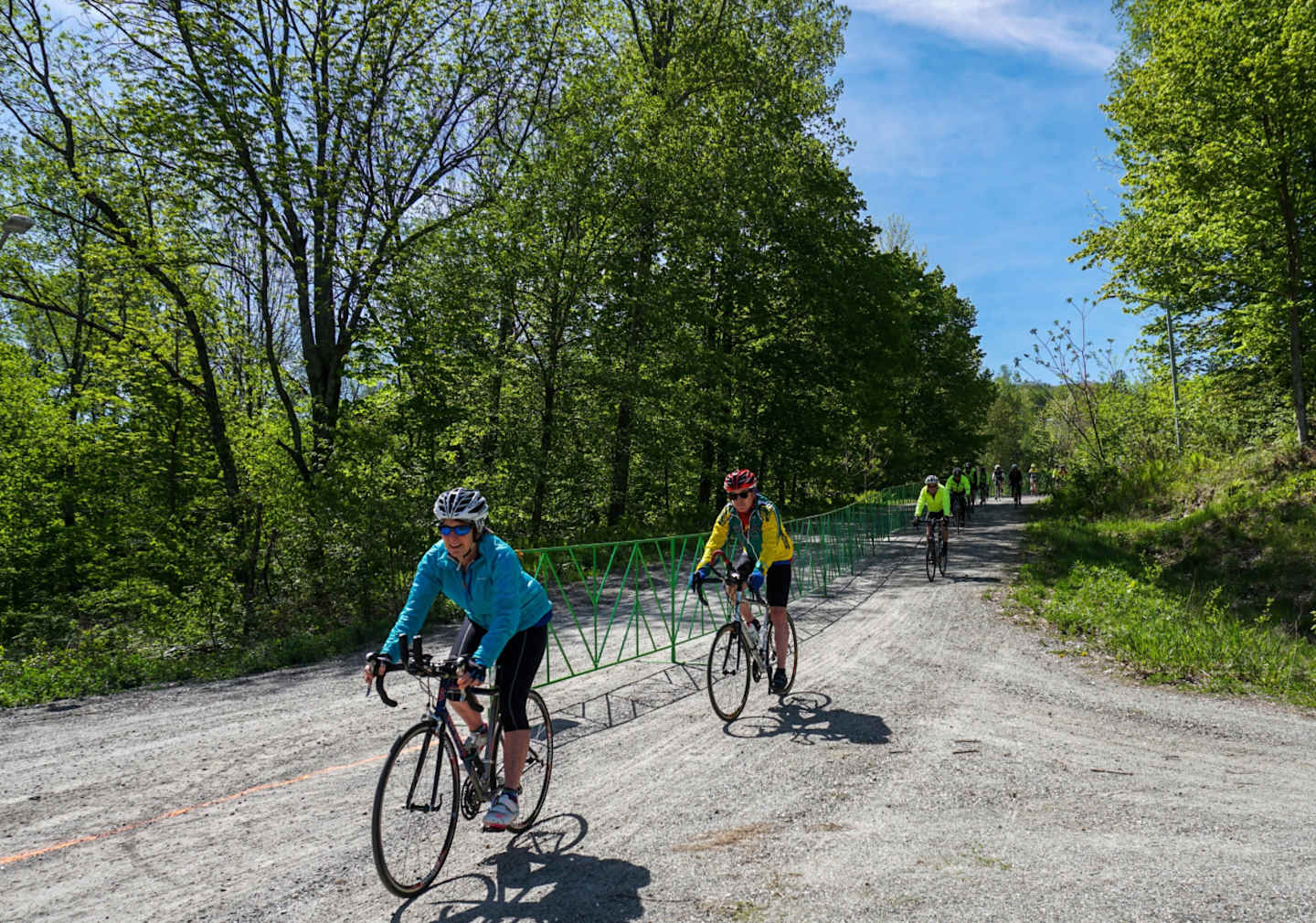 Two cyclists riding on a dirt path surrounded by lush green trees and a clear blue sky in the background.