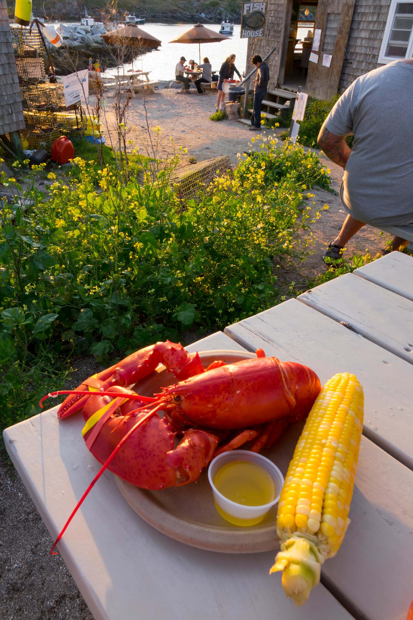 A plate with a large red lobster and corn on the cob sits in the foreground, while in the background, people are gathered in an outdoor setting surrounded by lush greenery and flowers.