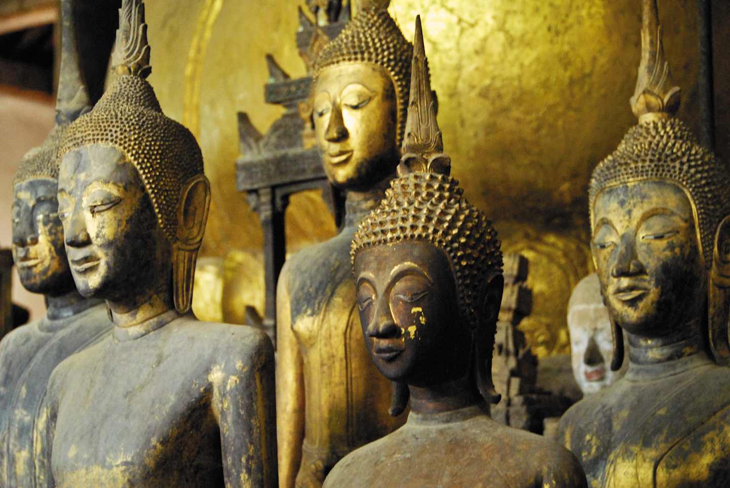 A collection of ornate, golden Buddha statues with intricate details and expressions, set against a dimly lit, textured background.