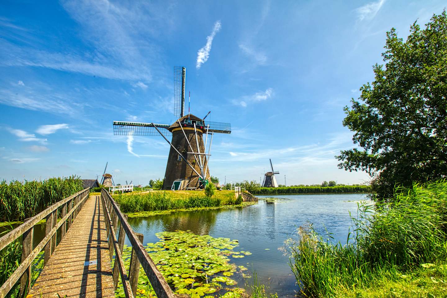 A wooden walkway leads to a traditional Dutch windmill surrounded by a lush, green landscape and a tranquil body of water.