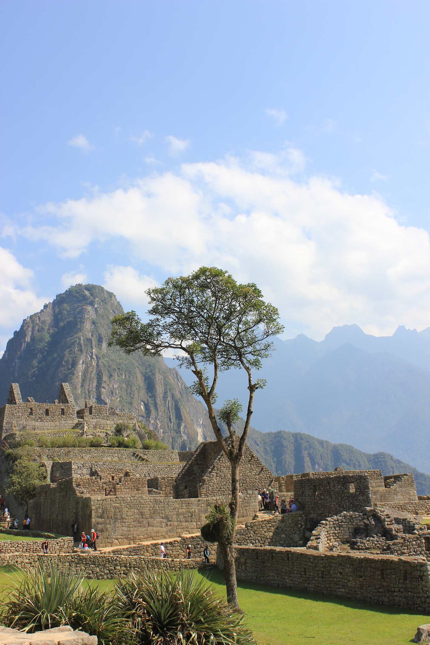 A lone tree stands amidst the ancient ruins of a stone structure, set against a backdrop of rugged mountains and a partly cloudy sky.