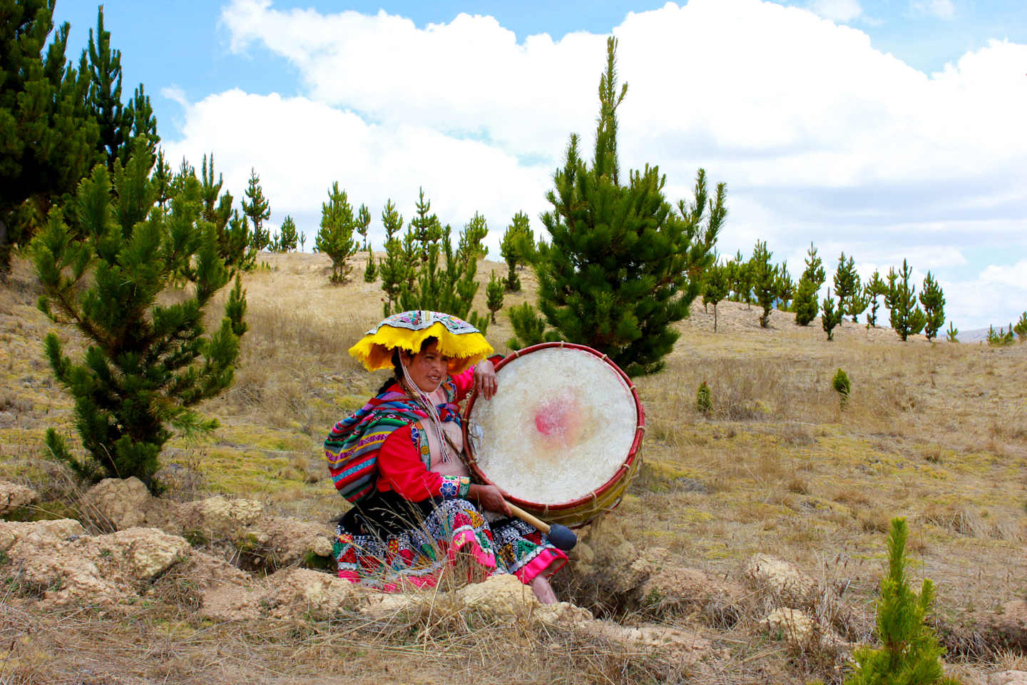 A person in colorful traditional clothing stands in a field with tall pine trees in the background, holding a large drum.