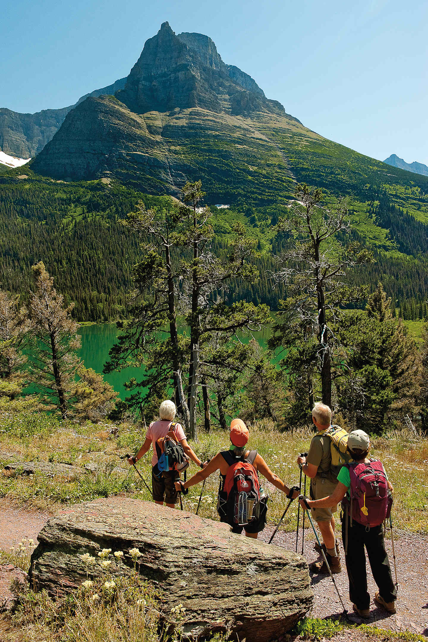 A group of hikers with backpacks and hiking gear stand on a rocky trail, surrounded by a lush, forested landscape with a towering mountain peak in the background.