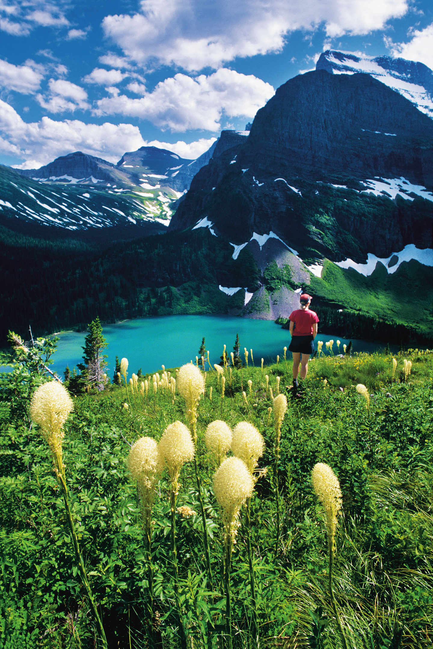 A lush, green meadow with vibrant yellow flowers in the foreground, overlooking a serene turquoise lake surrounded by majestic snow-capped mountains under a picturesque cloudy sky.