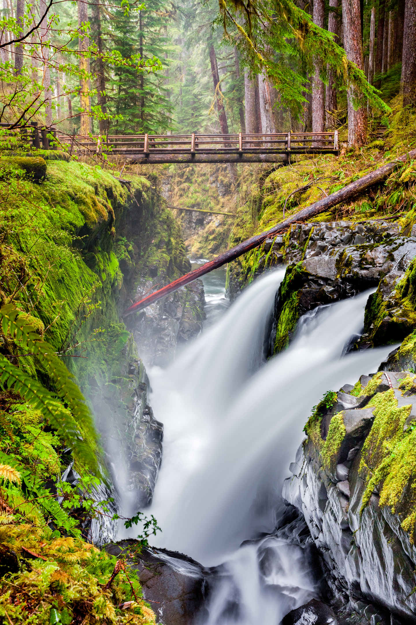 A lush, mossy forest surrounds a cascading waterfall flowing over rocky terrain, with a wooden bridge spanning the scene.