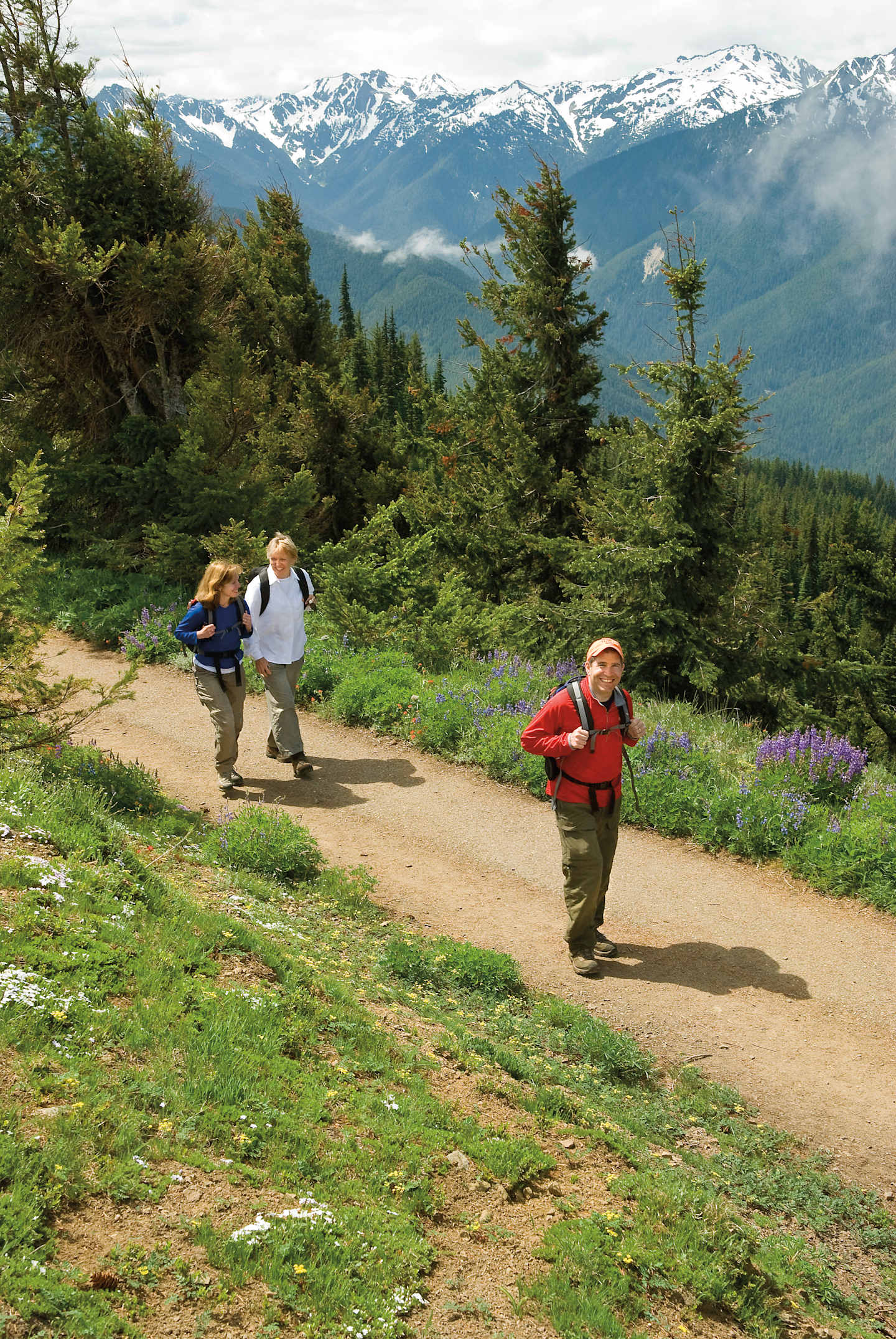 Three hikers are walking on a dirt trail through a lush, green forest with snow-capped mountains visible in the background.