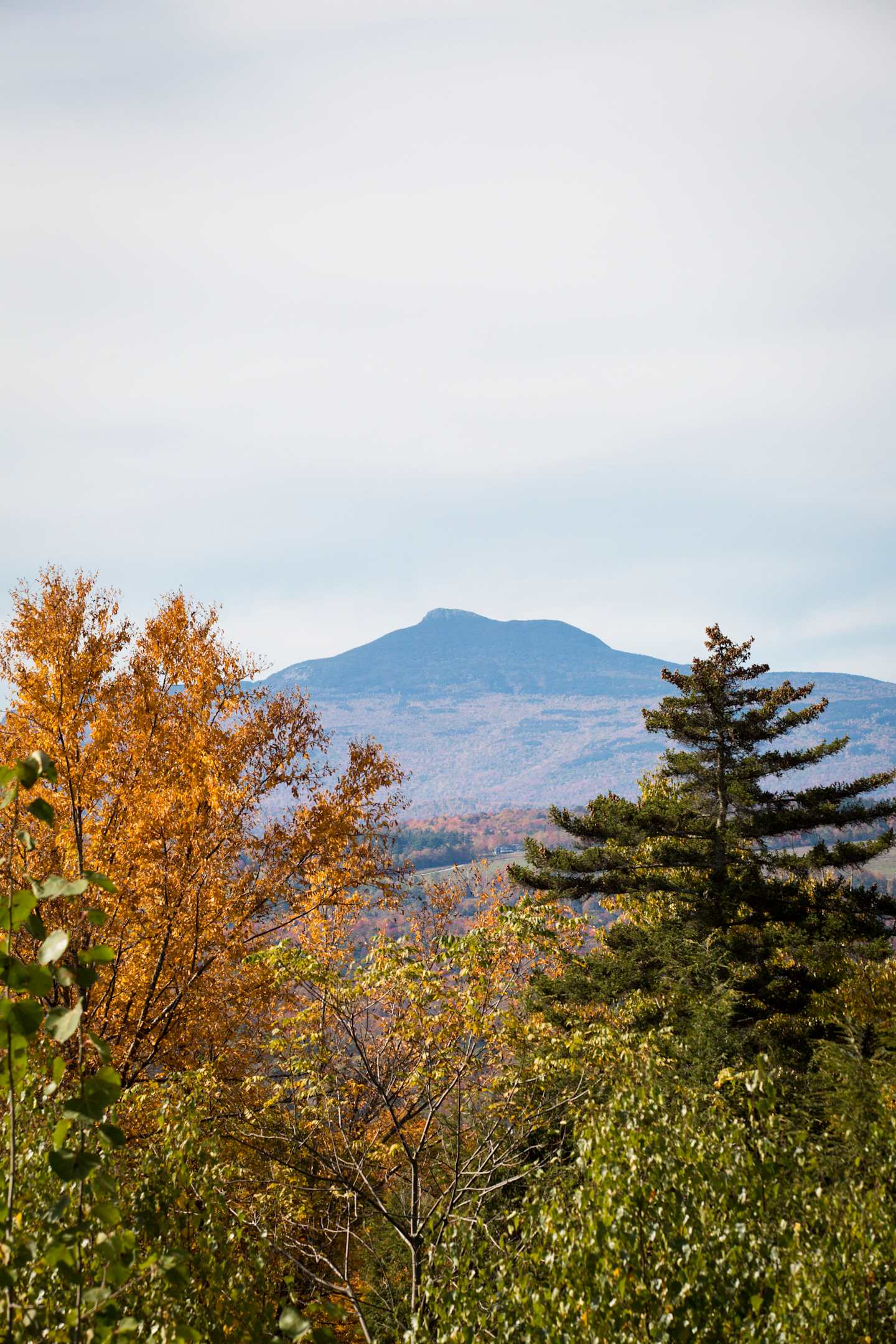 A scenic autumn landscape with vibrant foliage in the foreground and a distant mountain peak visible in the background.