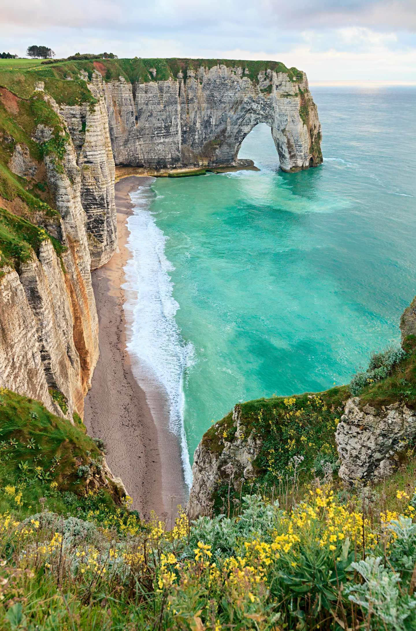 Rugged cliffs with a natural arch formation overlooking a tranquil turquoise bay, surrounded by lush greenery and vibrant yellow wildflowers in the foreground.