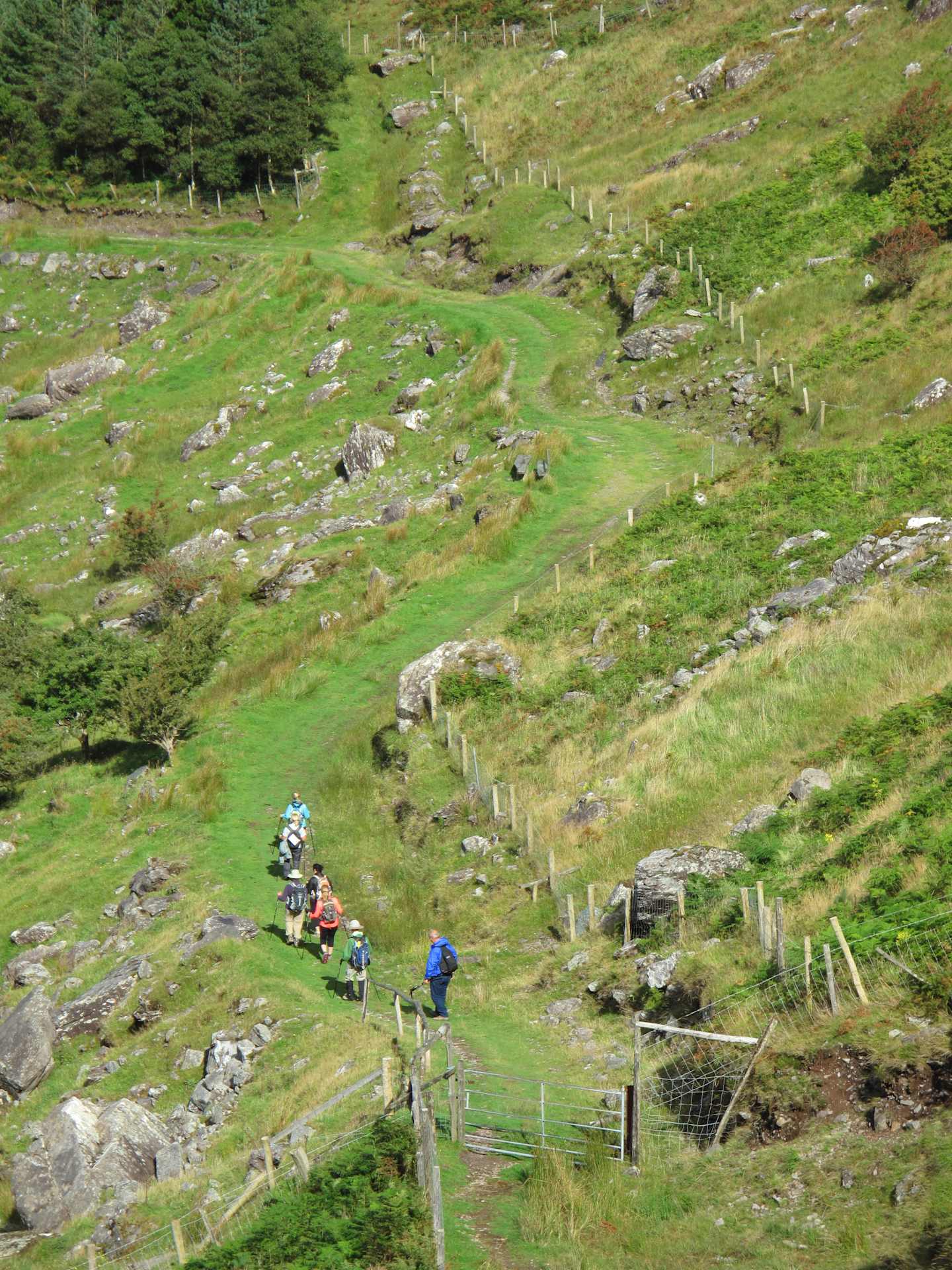 A group of hikers traversing a winding path through a lush, verdant landscape dotted with rocky outcroppings and surrounded by a backdrop of dense evergreen forests.
