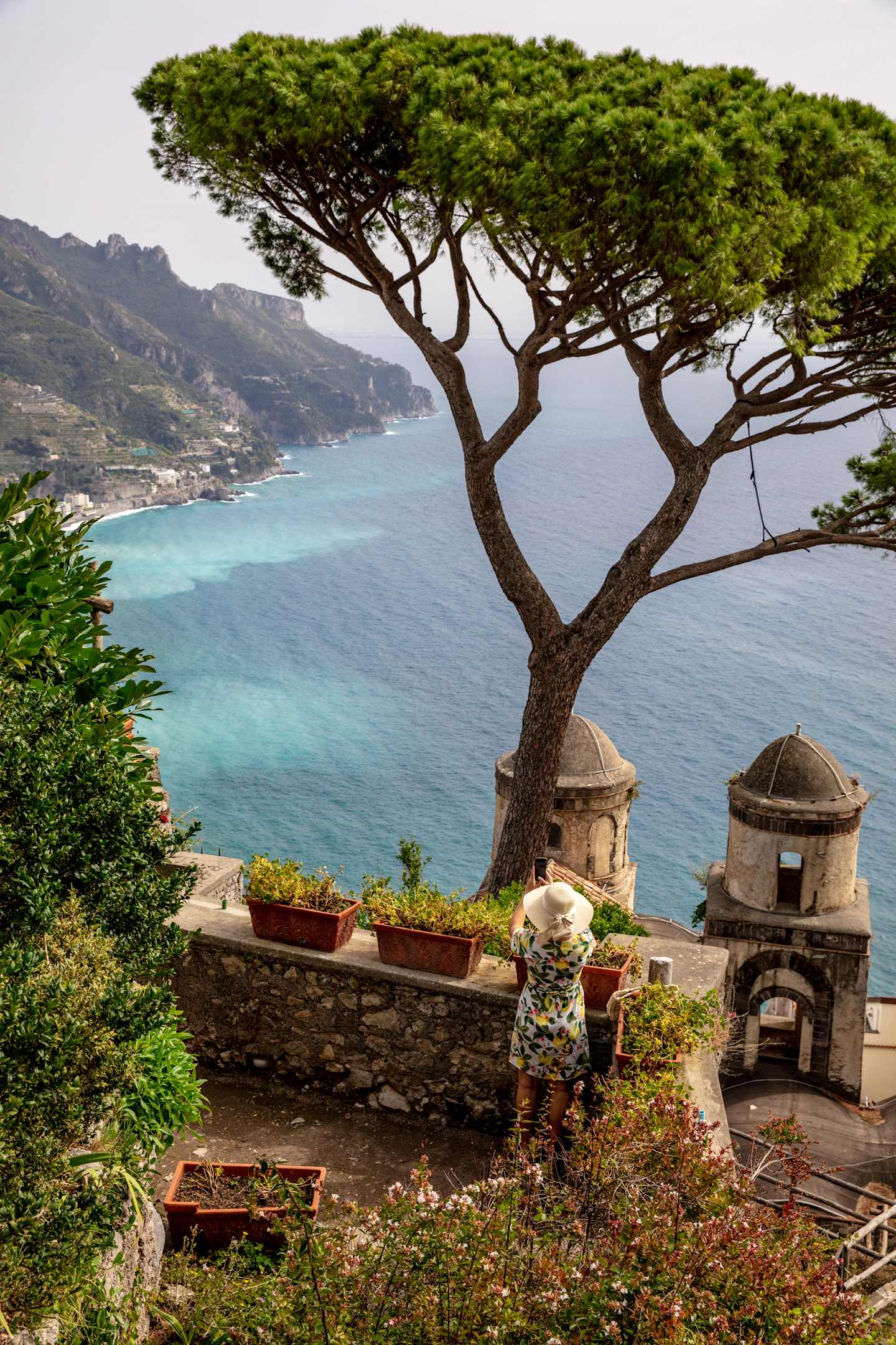 A lush, sprawling tree stands atop a stone terrace overlooking a breathtaking coastal landscape, with turrets and domes of an architectural structure visible in the foreground.
