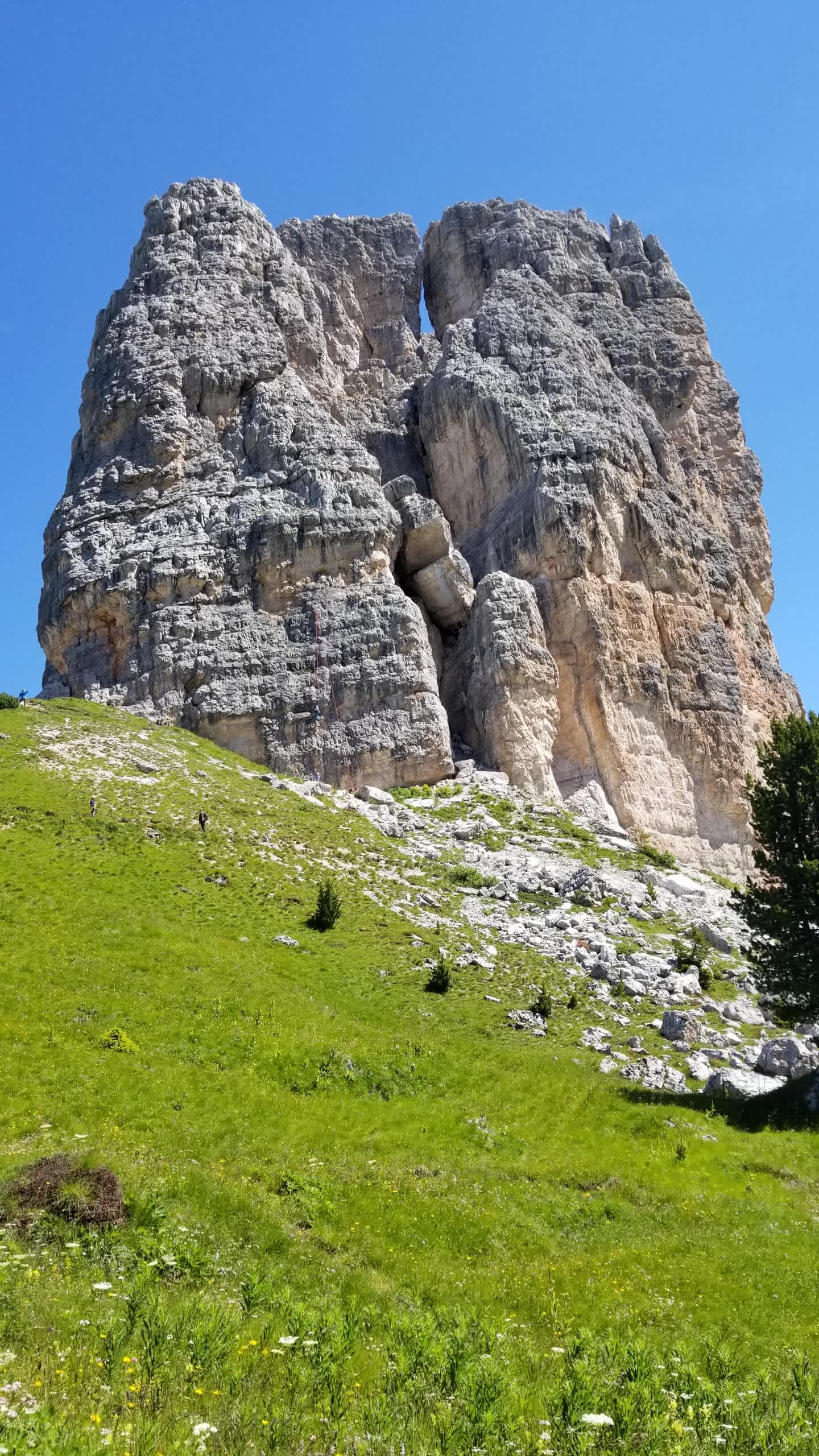 Rugged, weathered rock formations rise up against a clear blue sky, surrounded by a lush, grassy foreground.