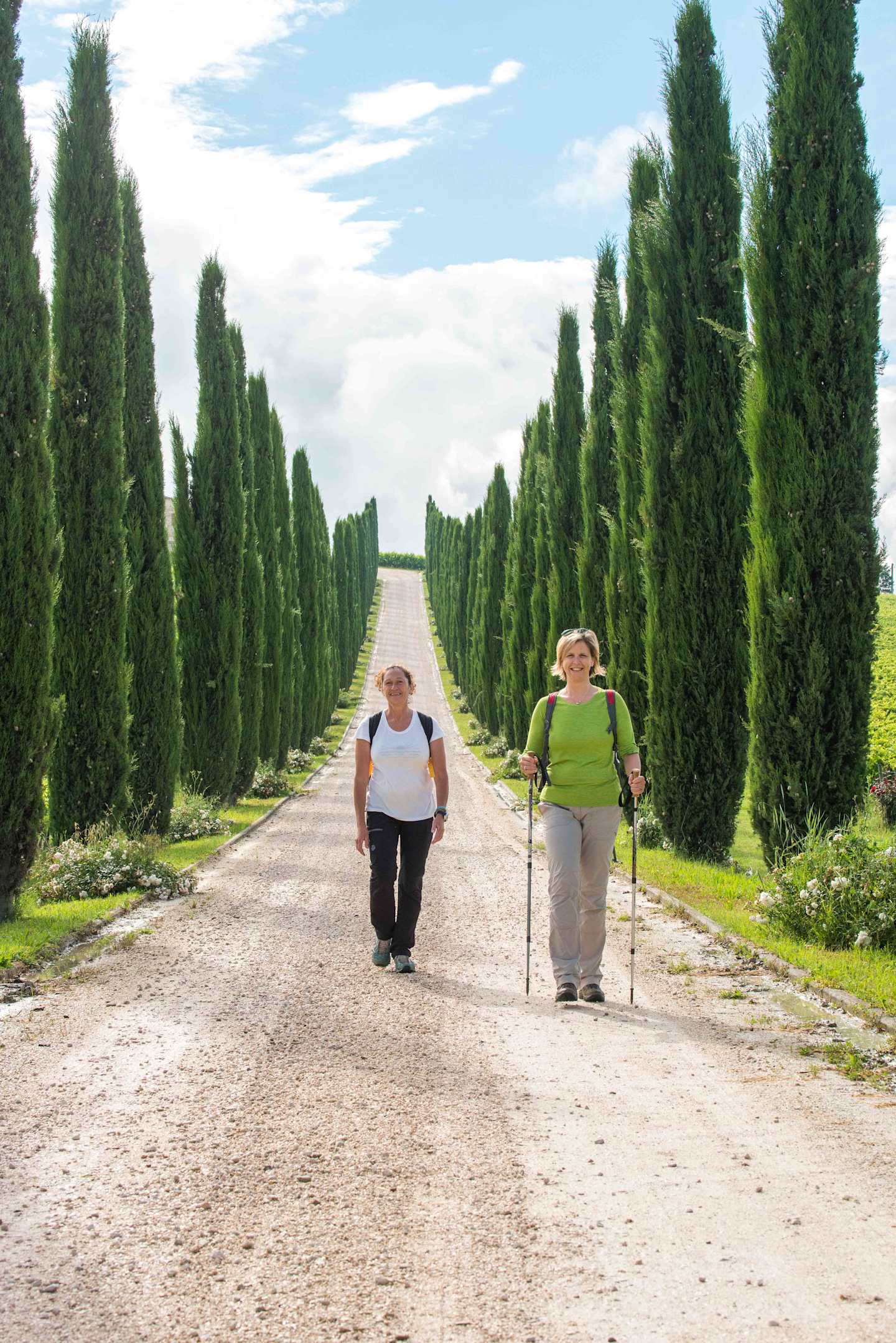 Two elderly individuals are walking along a dirt path lined with tall, slender cypress trees on either side, creating a serene and picturesque landscape.