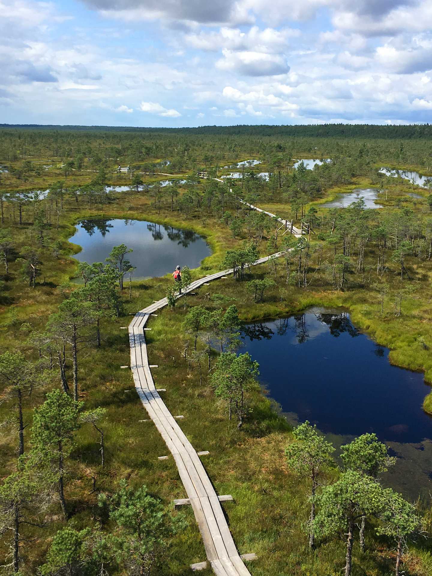 A wooden walkway winds through a lush, green wetland landscape, with small ponds and pools dotting the terrain, surrounded by a dense forest in the background under a cloudy sky.