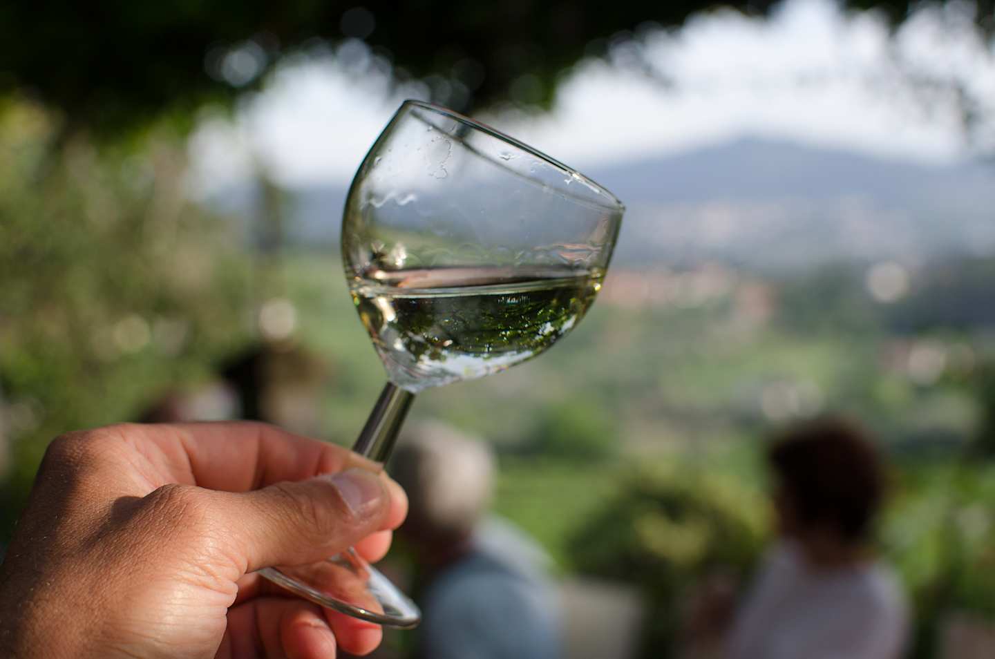 A hand holding a glass of white wine against a blurred natural background with greenery.