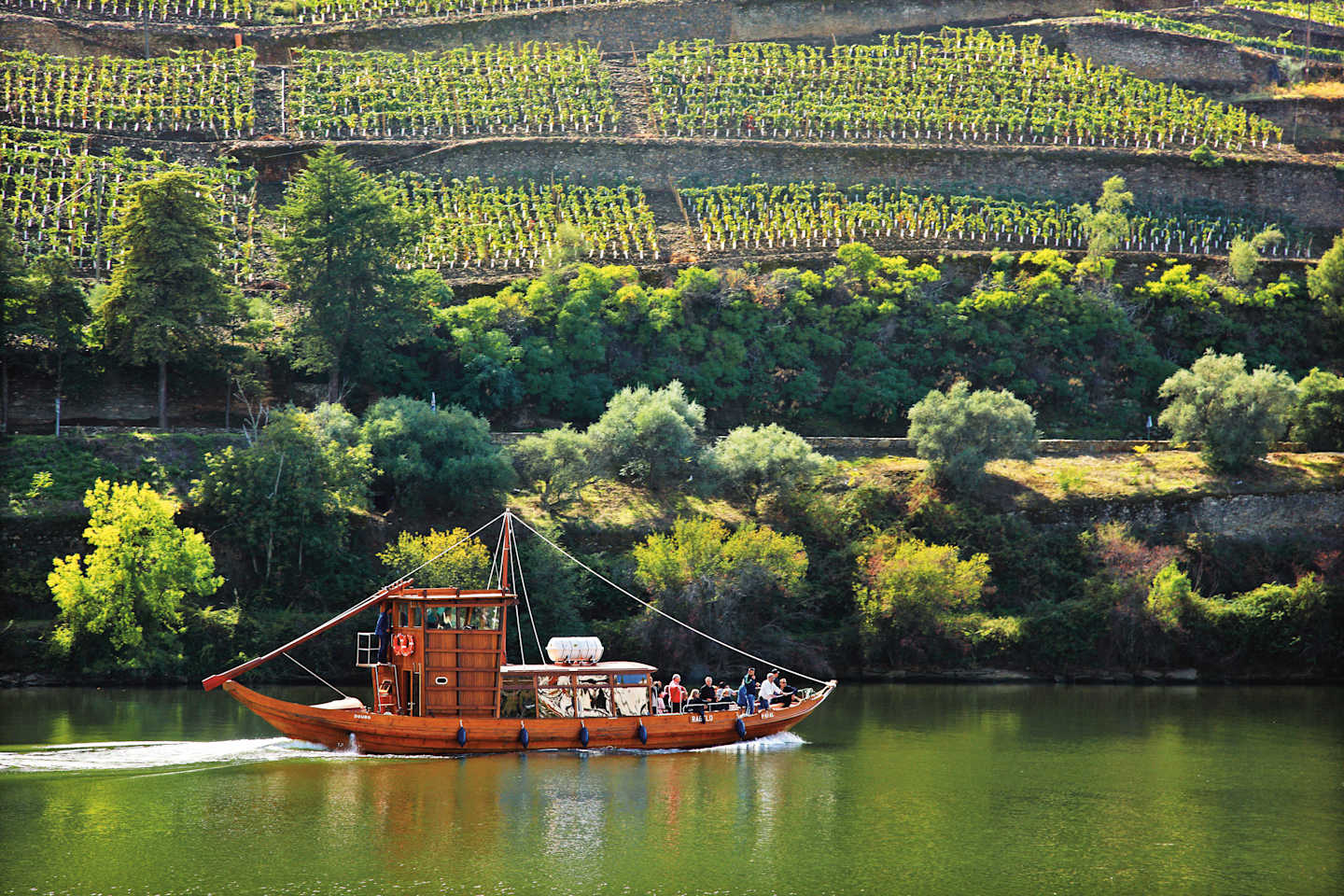 A traditional wooden boat floats on a serene green lake, surrounded by lush vineyards and rolling hills in the background.