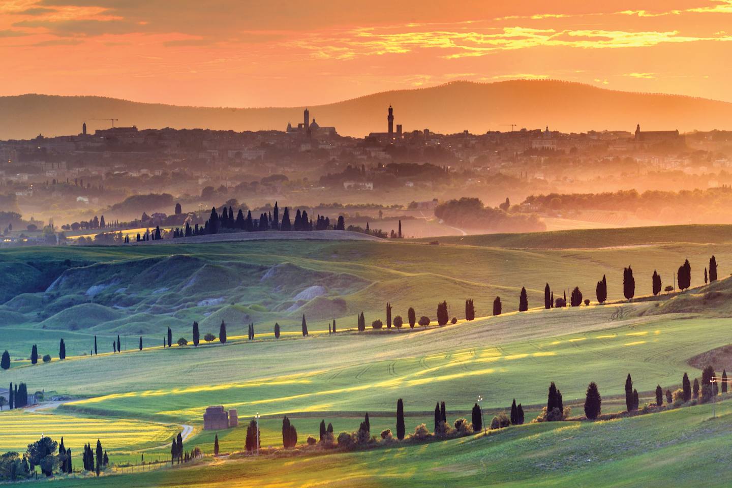 A picturesque landscape with rolling hills, cypress trees, and a distant city skyline bathed in the warm glow of a sunset.
