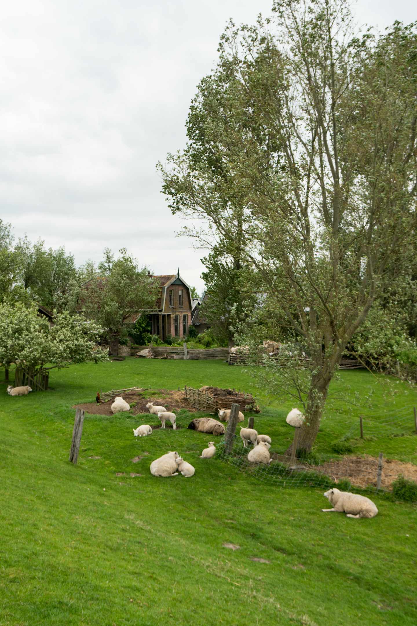 A lush, green meadow with scattered boulders and a rustic wooden structure nestled among the trees in the background.