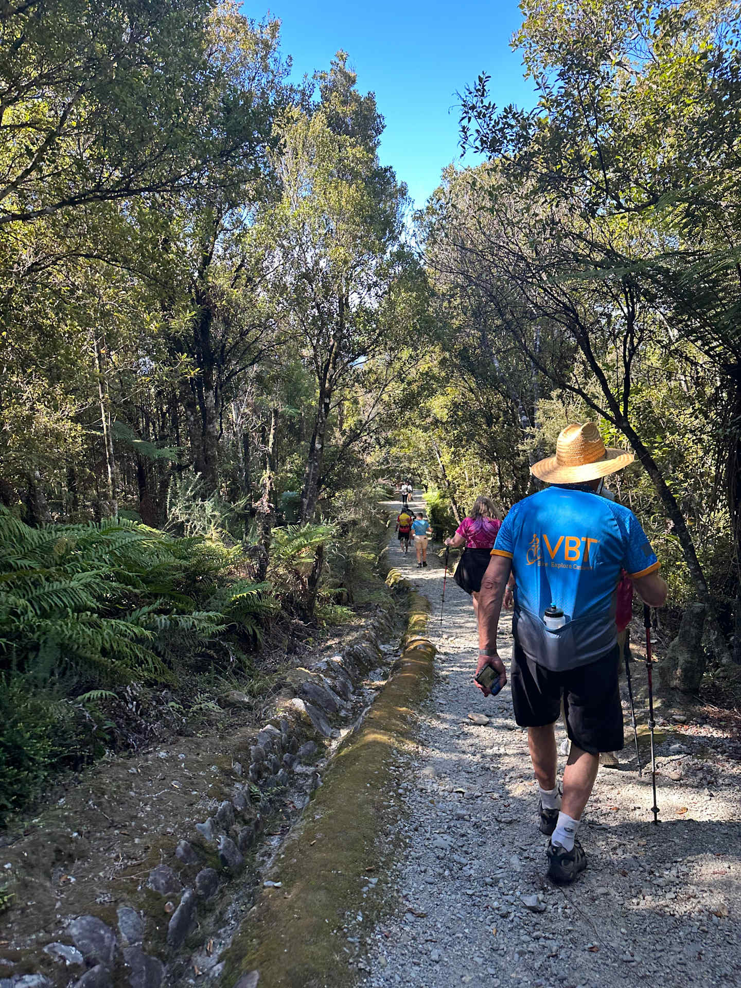 A group of hikers walking along a rocky stream surrounded by lush, verdant foliage and trees in a scenic outdoor setting.