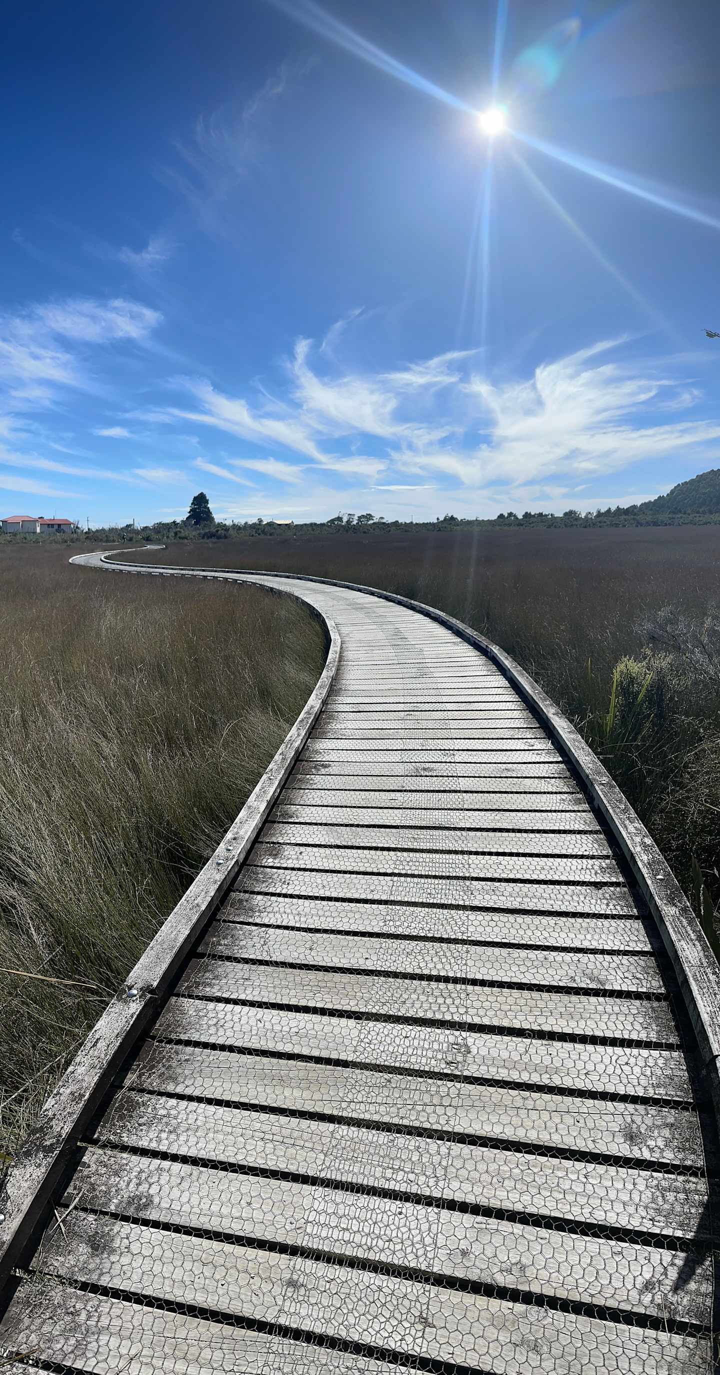 A wooden boardwalk leads through a grassy field under a bright, blue sky with wispy clouds.