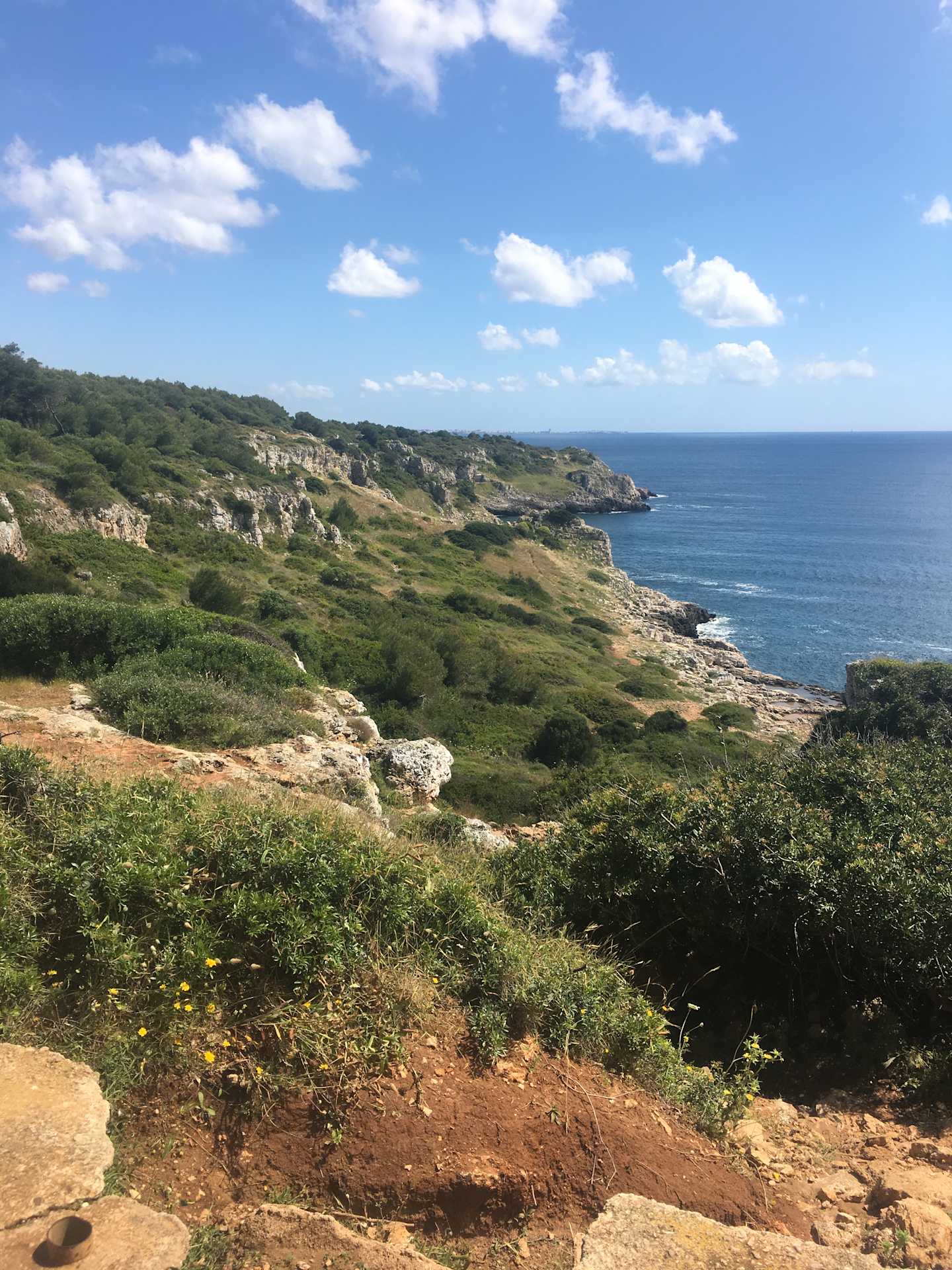 A scenic coastal landscape with rugged cliffs, lush vegetation, and a vast expanse of the deep blue ocean in the background.