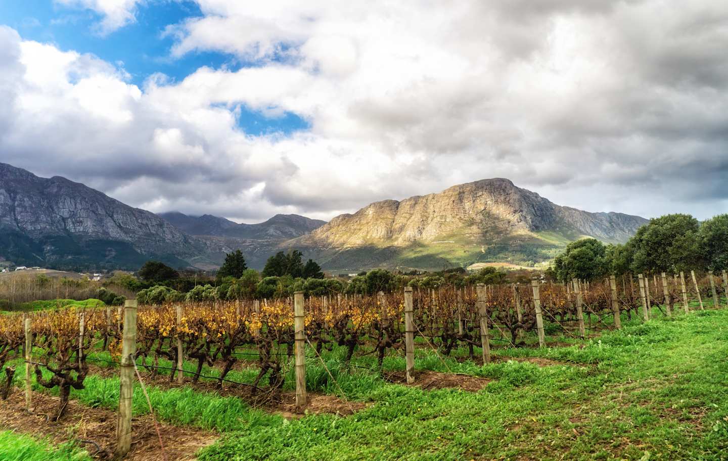 A lush, green vineyard nestled in a picturesque valley, with towering mountains and dramatic clouds in the background, creating a stunning natural landscape.
