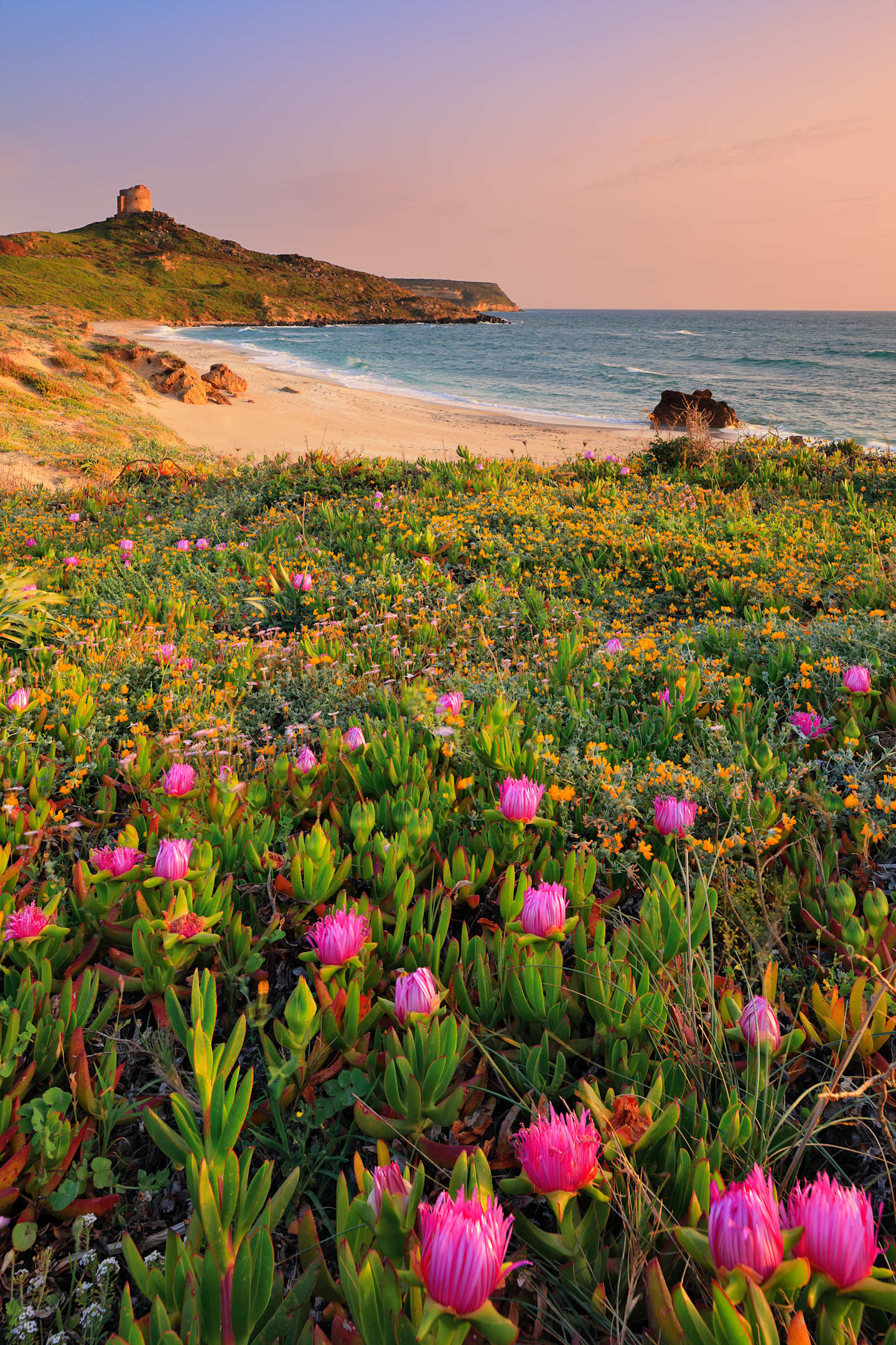 South Africa | Cape Town & the Garden Route Guided Bicycling Vacation