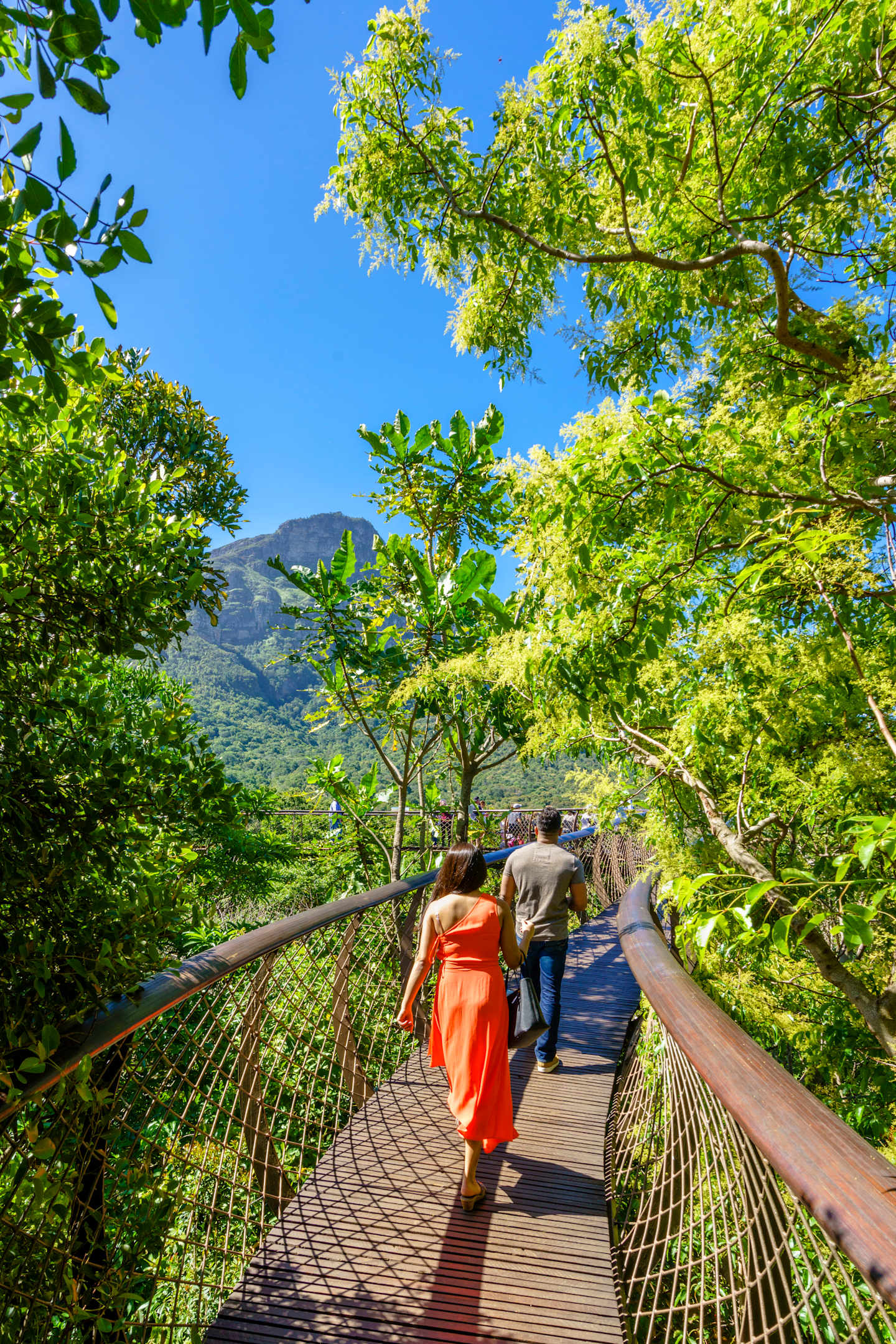 A wooden walkway surrounded by lush, green foliage and trees, with people walking along the path against a backdrop of a clear blue sky.