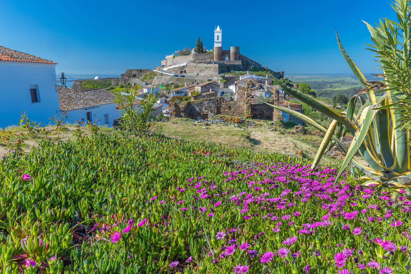 A picturesque hillside village with a towering castle, surrounded by lush greenery and vibrant purple flowers in the foreground.