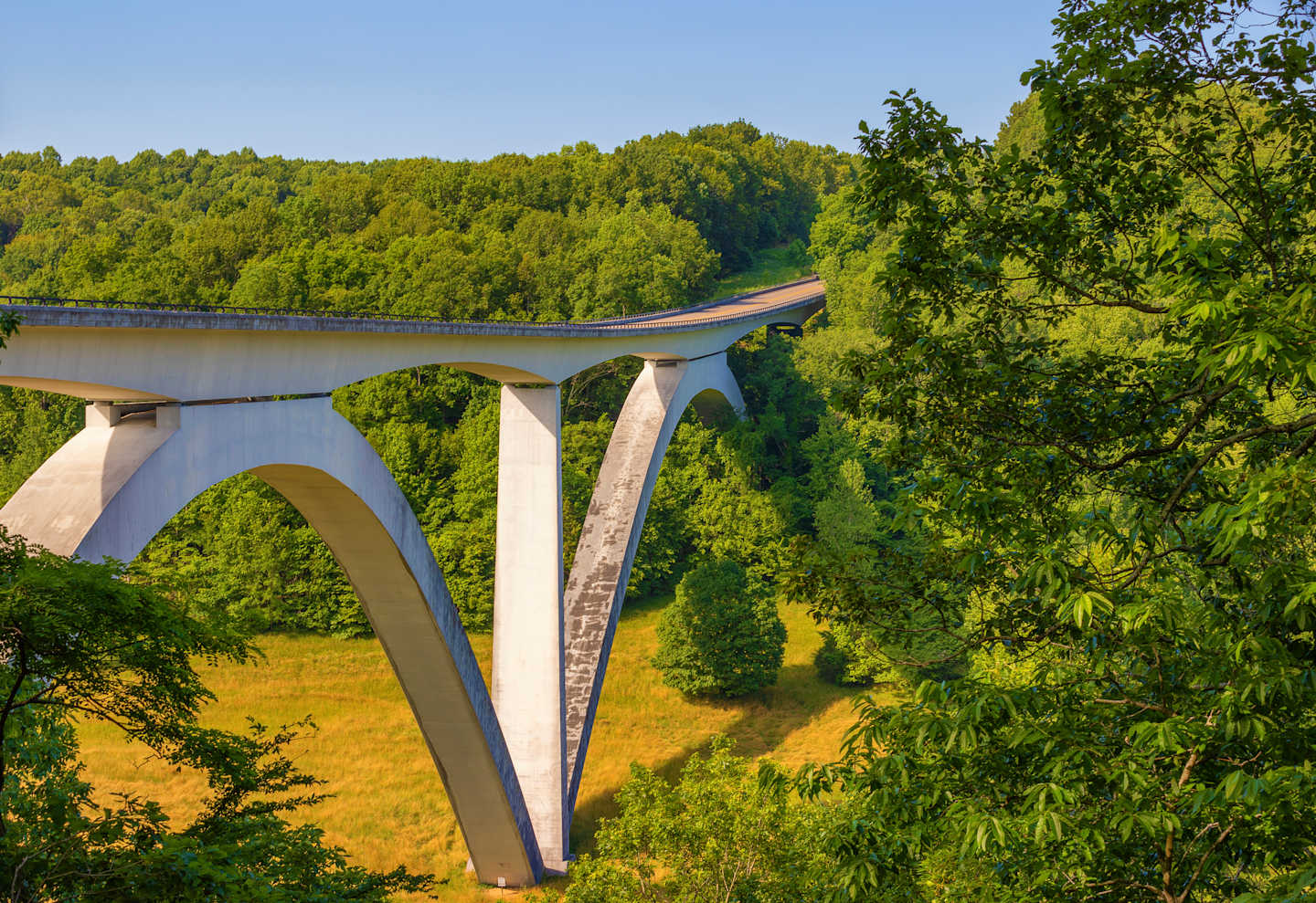 A concrete bridge spans a lush, forested valley, with a river or stream visible below and a vibrant green landscape surrounding the structure.