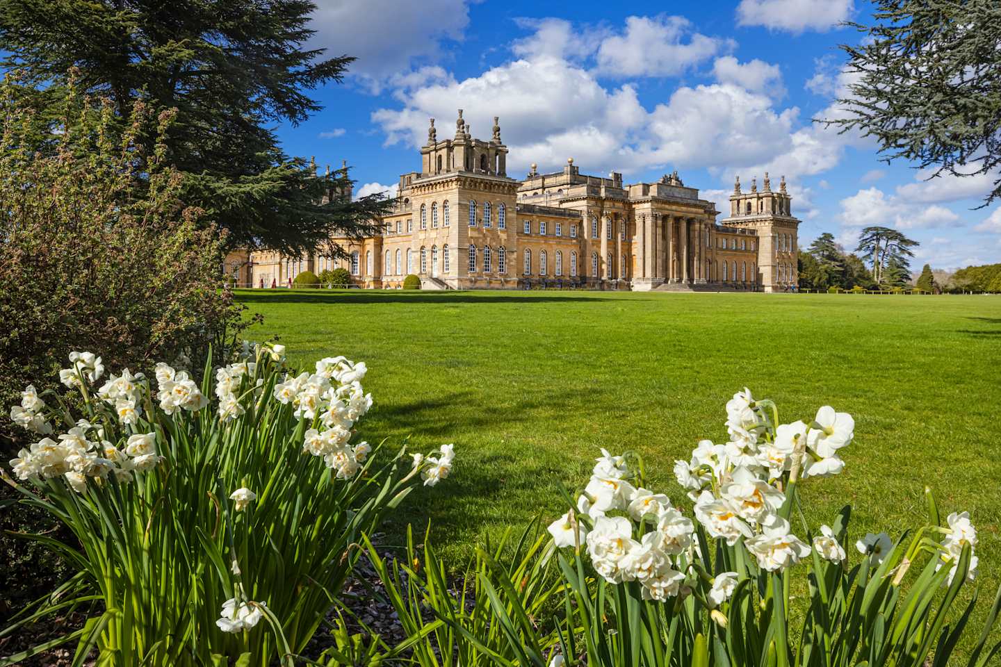 A grand, ornate palace stands majestically against a backdrop of a vibrant blue sky, surrounded by a lush green lawn dotted with blooming white daffodils in the foreground.