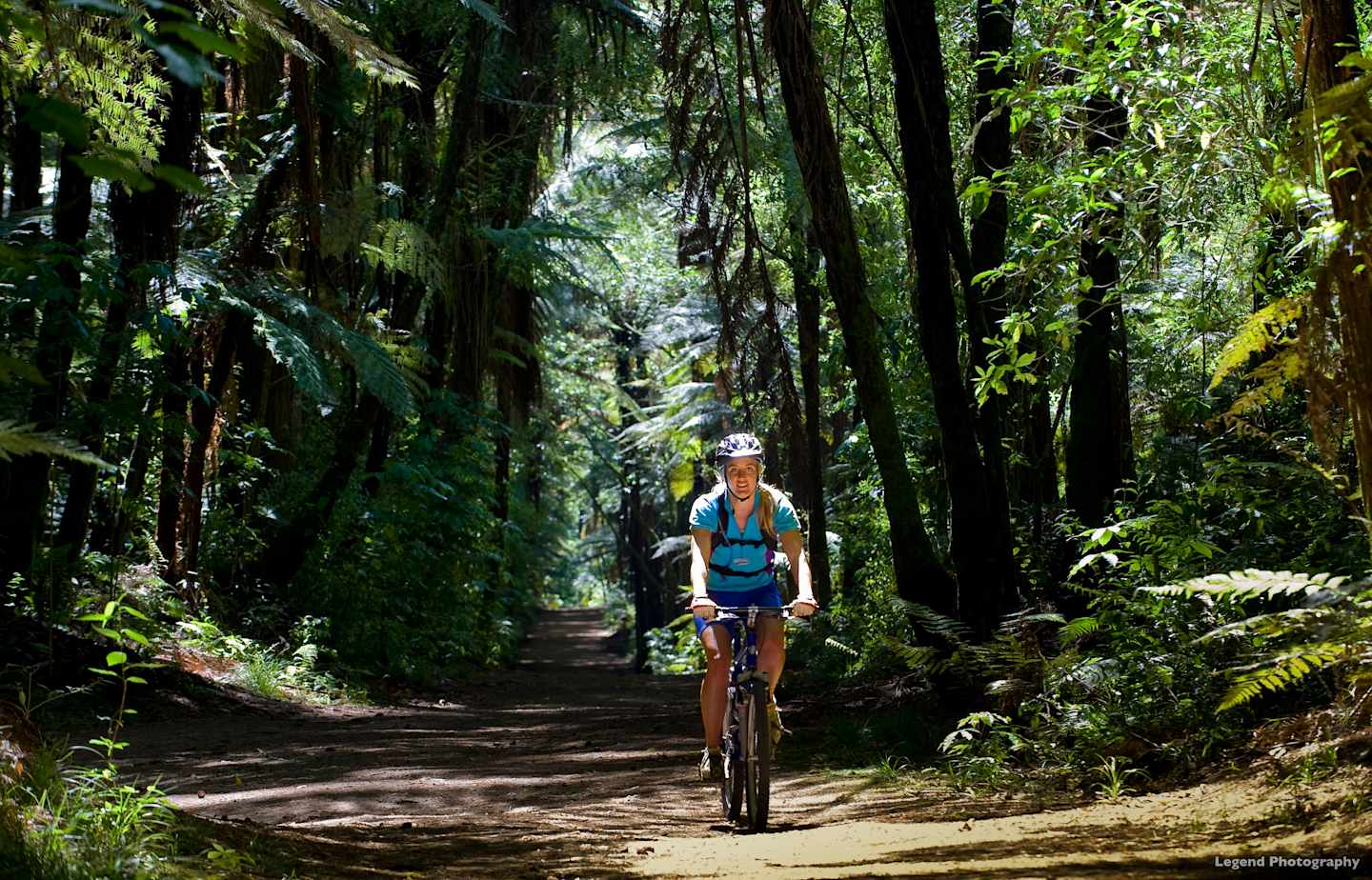 A person on a bicycle rides along a dirt path through a lush, verdant forest, surrounded by towering trees and dense foliage.