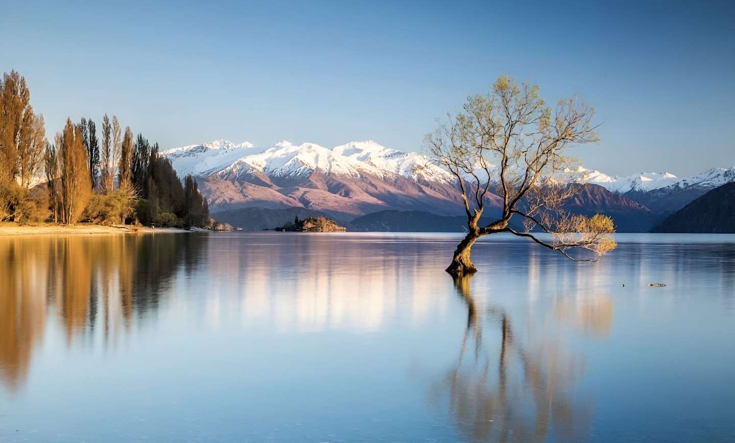 A serene lake surrounded by snow-capped mountains, with a lone tree standing in the water, reflecting the tranquil scene.