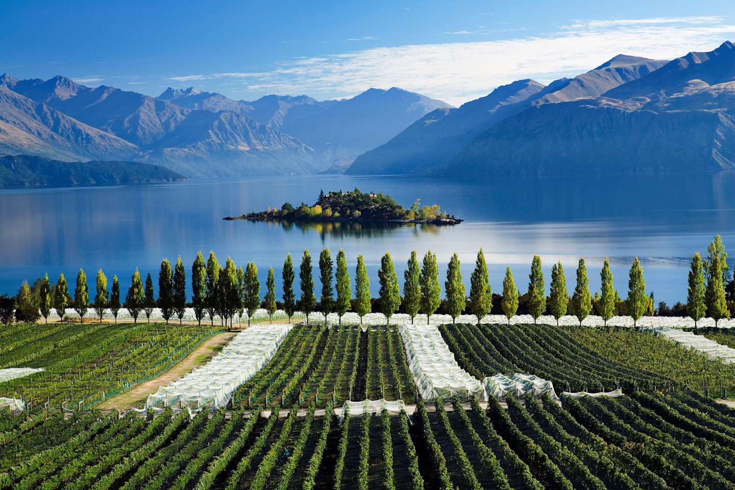 A picturesque landscape featuring a lush vineyard in the foreground, with a serene lake and a small island in the background, surrounded by majestic mountains under a clear blue sky.