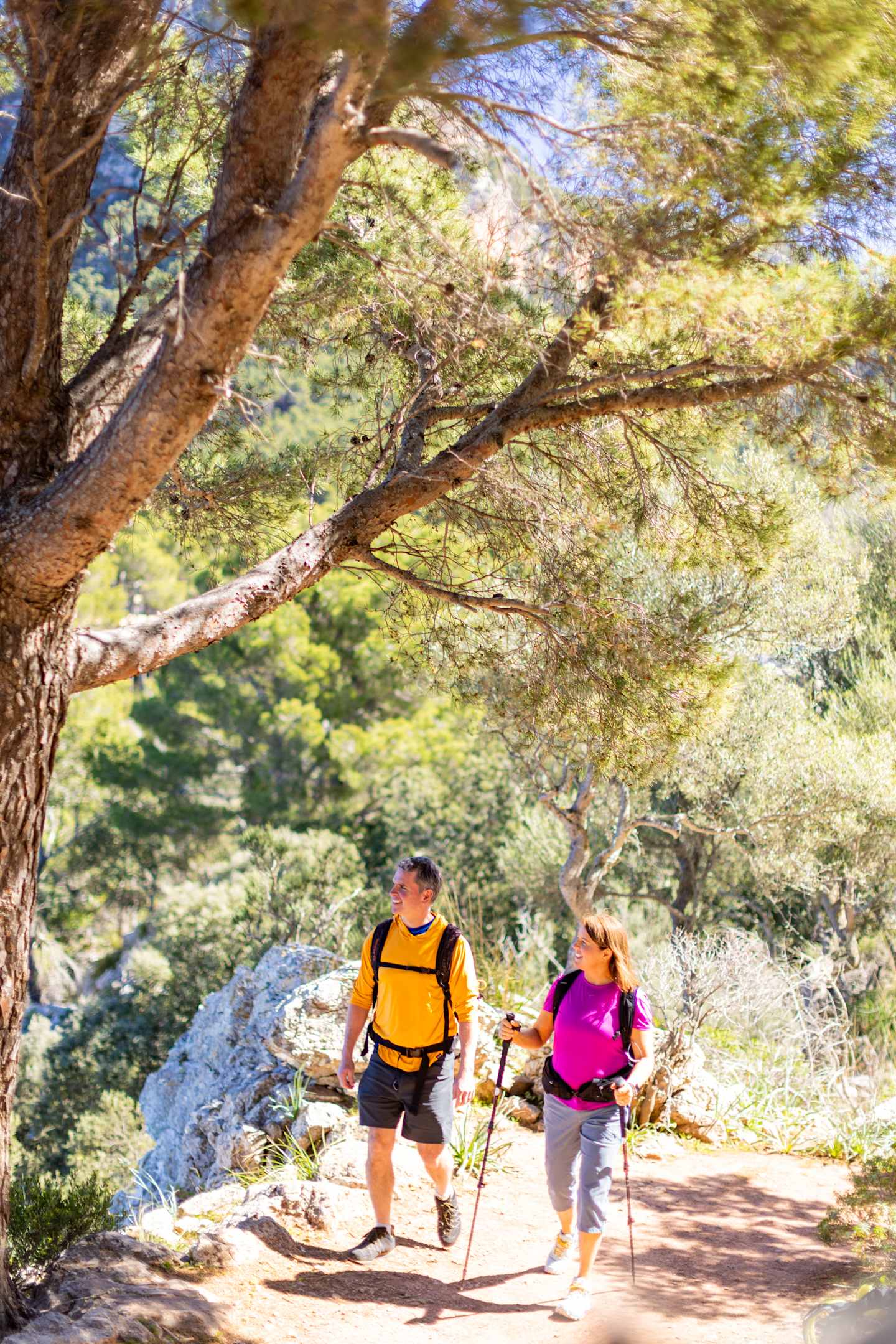 Two hikers, one wearing a yellow vest and the other a pink jacket, are walking on a trail surrounded by lush, green foliage and a stream in the background.