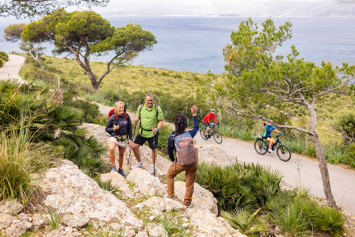 A group of people hiking and biking on a scenic trail surrounded by lush vegetation and overlooking a body of water in the distance.