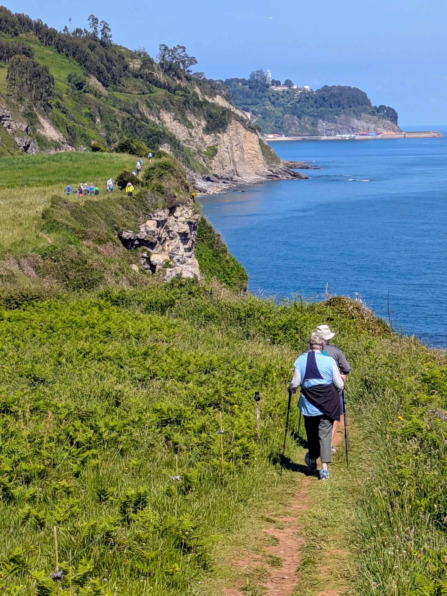A person hiking on a trail along a grassy coastal landscape with a rocky shoreline and ocean in the background.