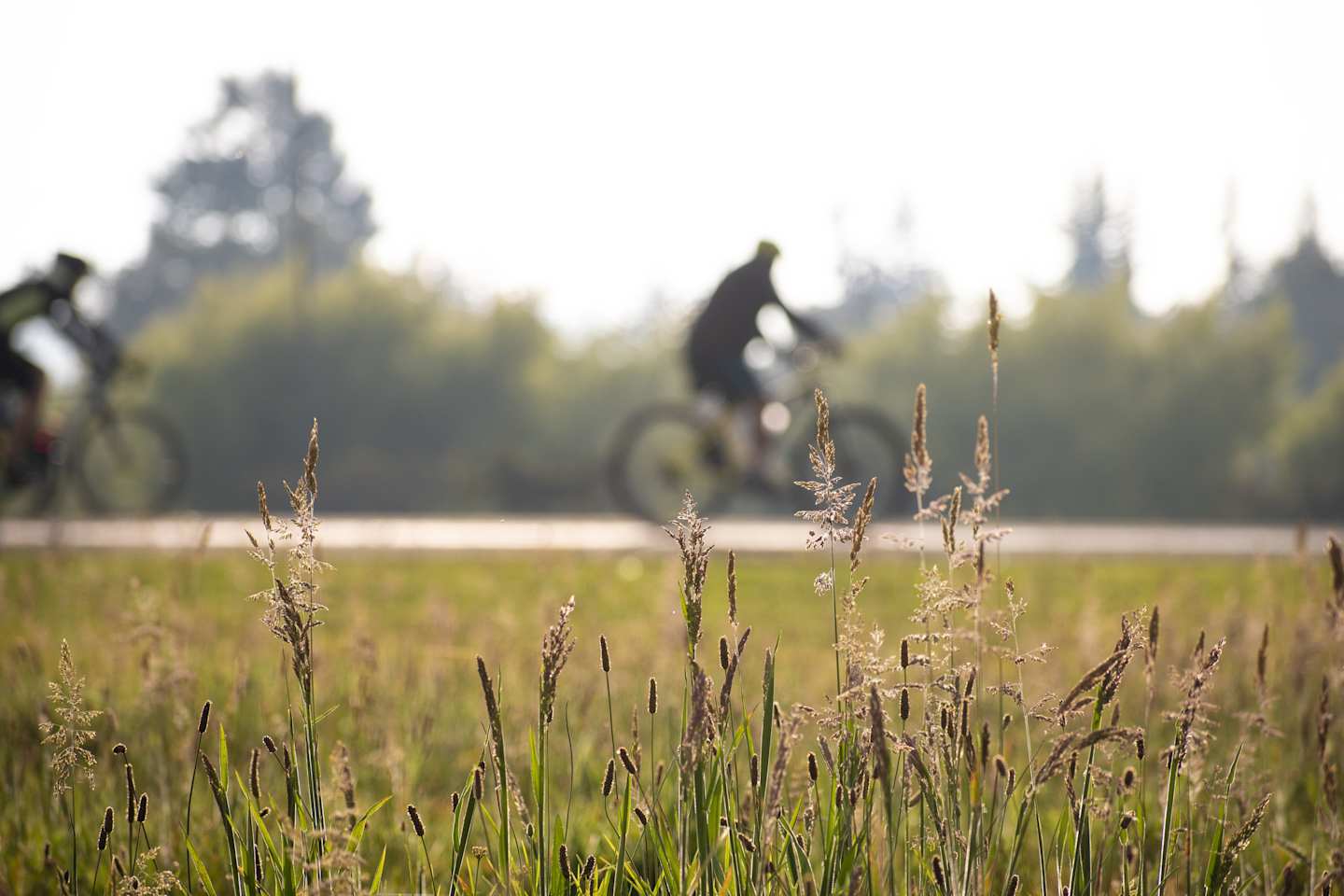 Biking through Austria, Slovakia, Czechia: Bratislava, Prague, Vienna on a Guided Bike Tour