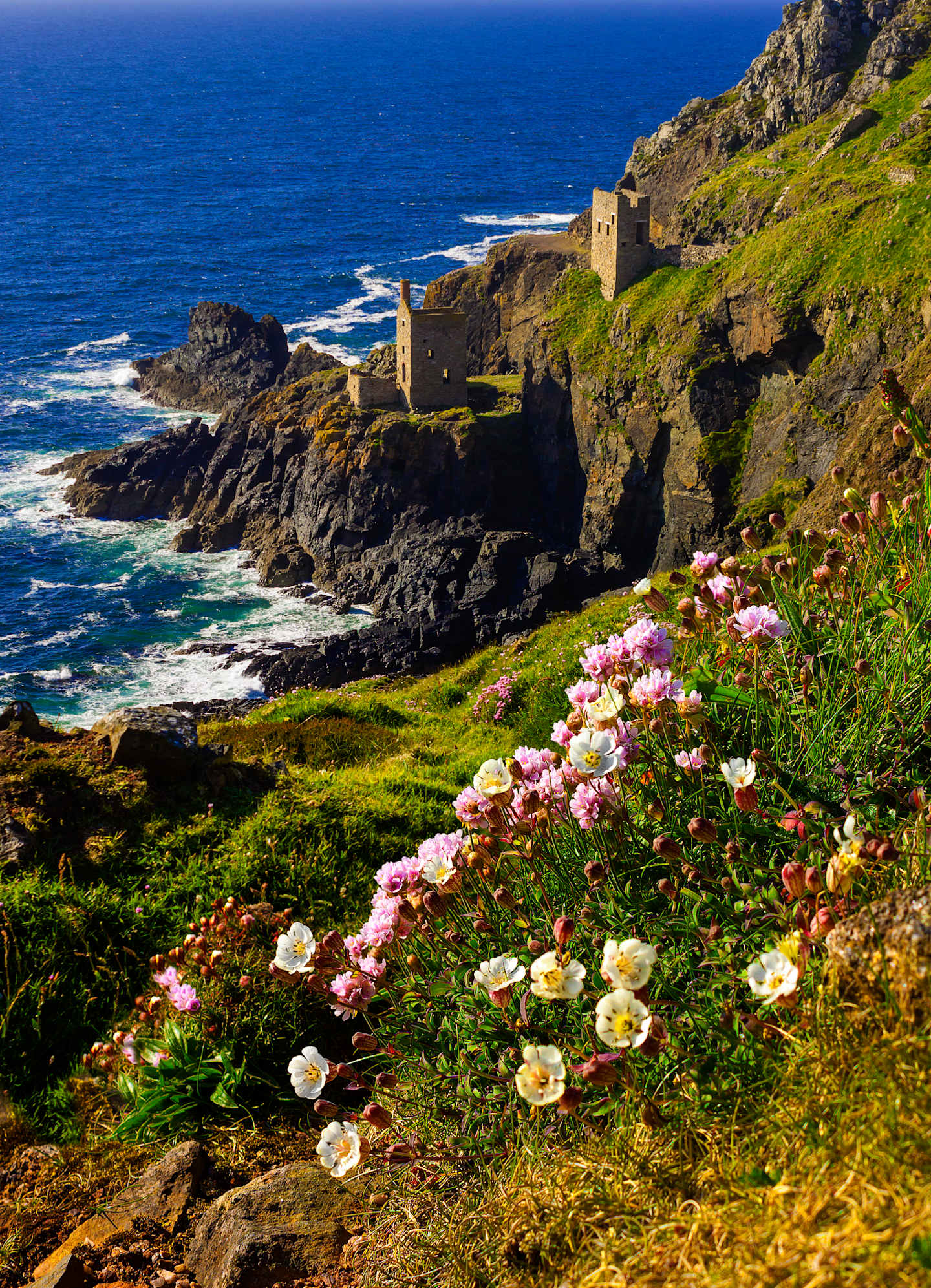 A rugged coastal landscape with a castle or fortress perched atop rocky cliffs, surrounded by a vibrant display of colorful wildflowers in the foreground.