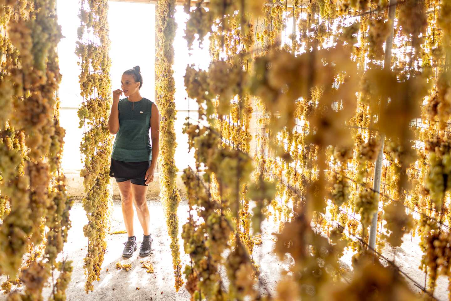 A person stands on a wooden walkway surrounded by a lush, golden-hued foliage, creating a serene and enchanting atmosphere.