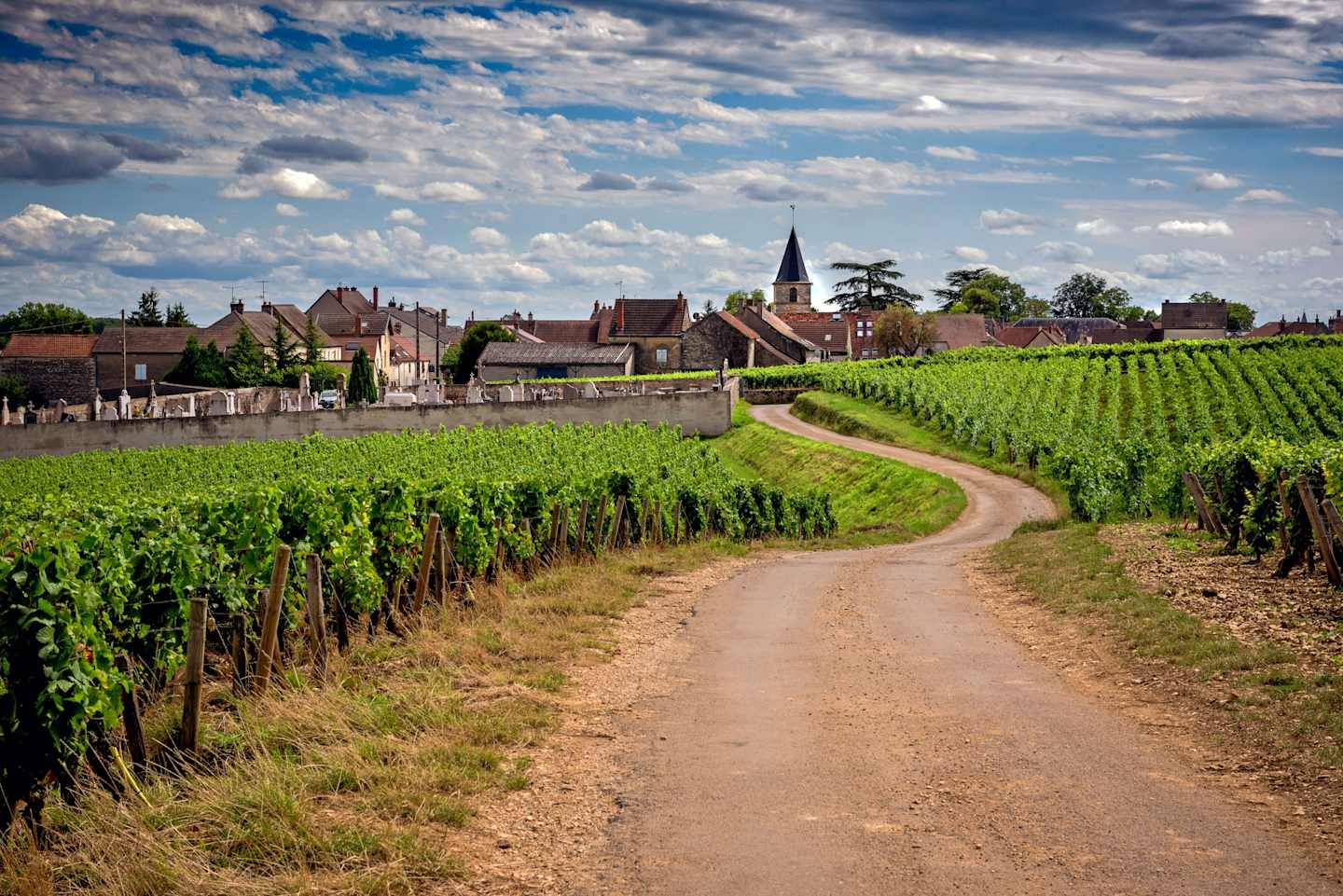 France Bike & River Cruise: Lyon to Nice Guided Bicycling Vacation